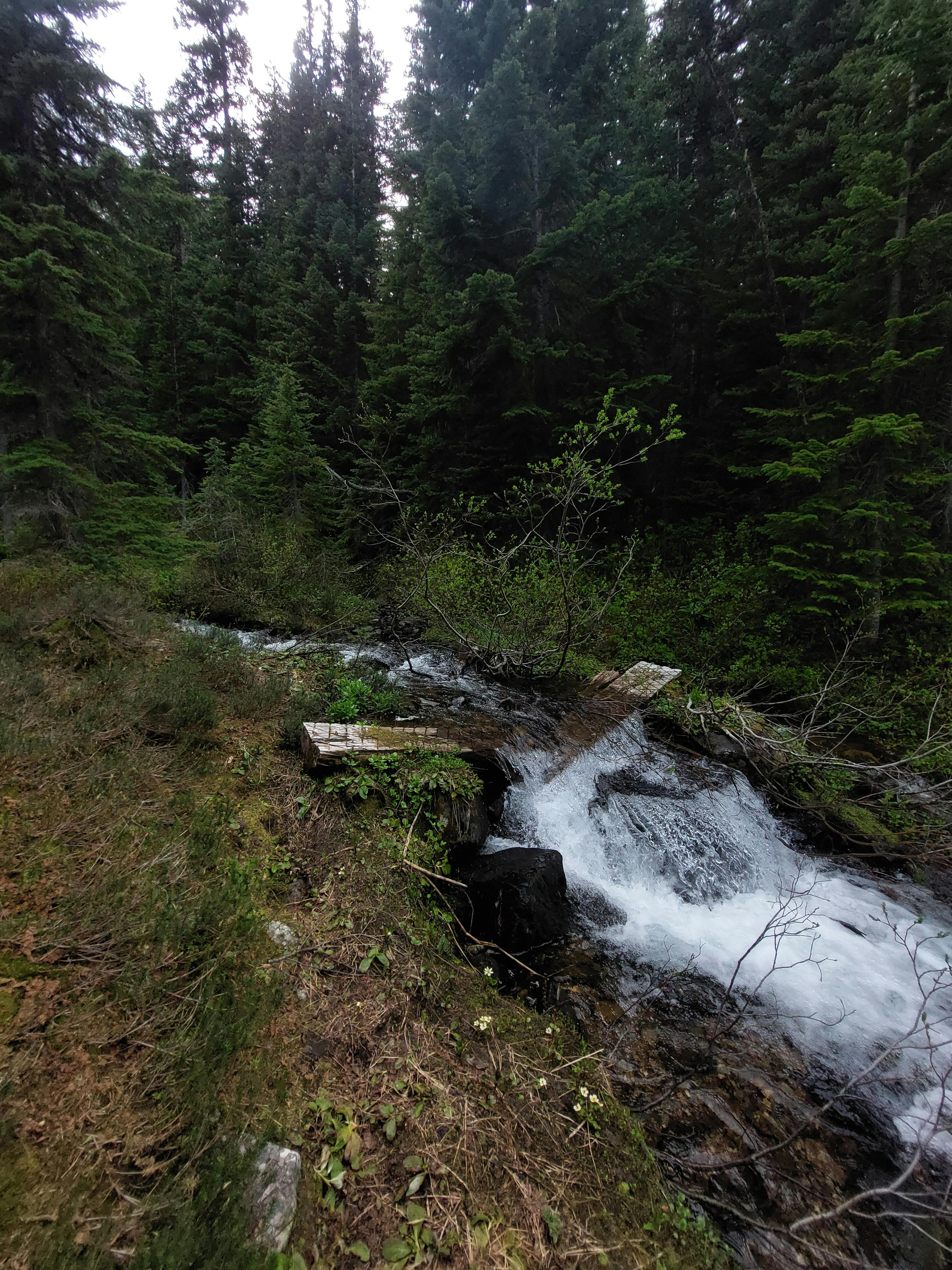 Broken bridge on Whatcom trail