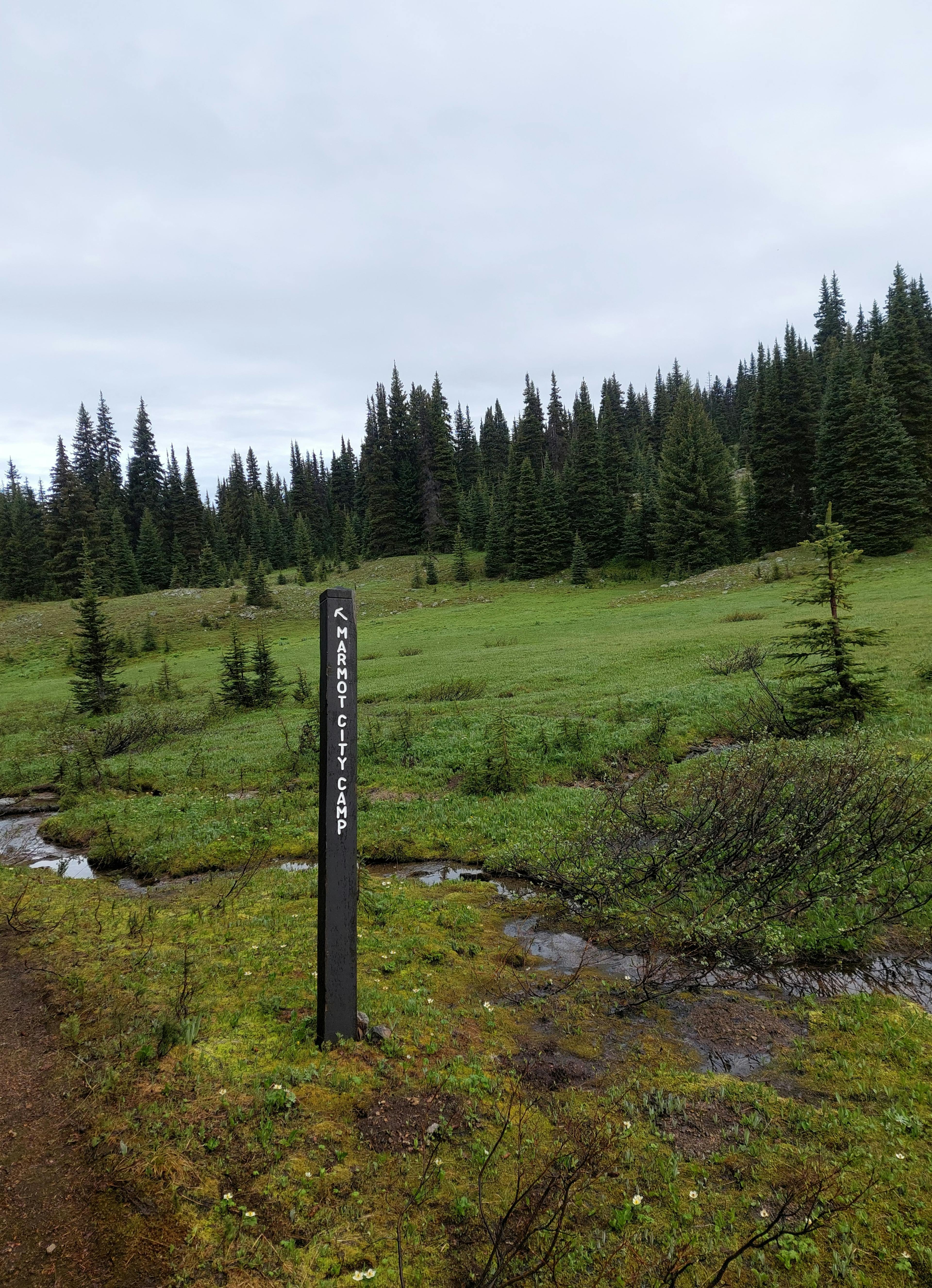 Marmot City campsite