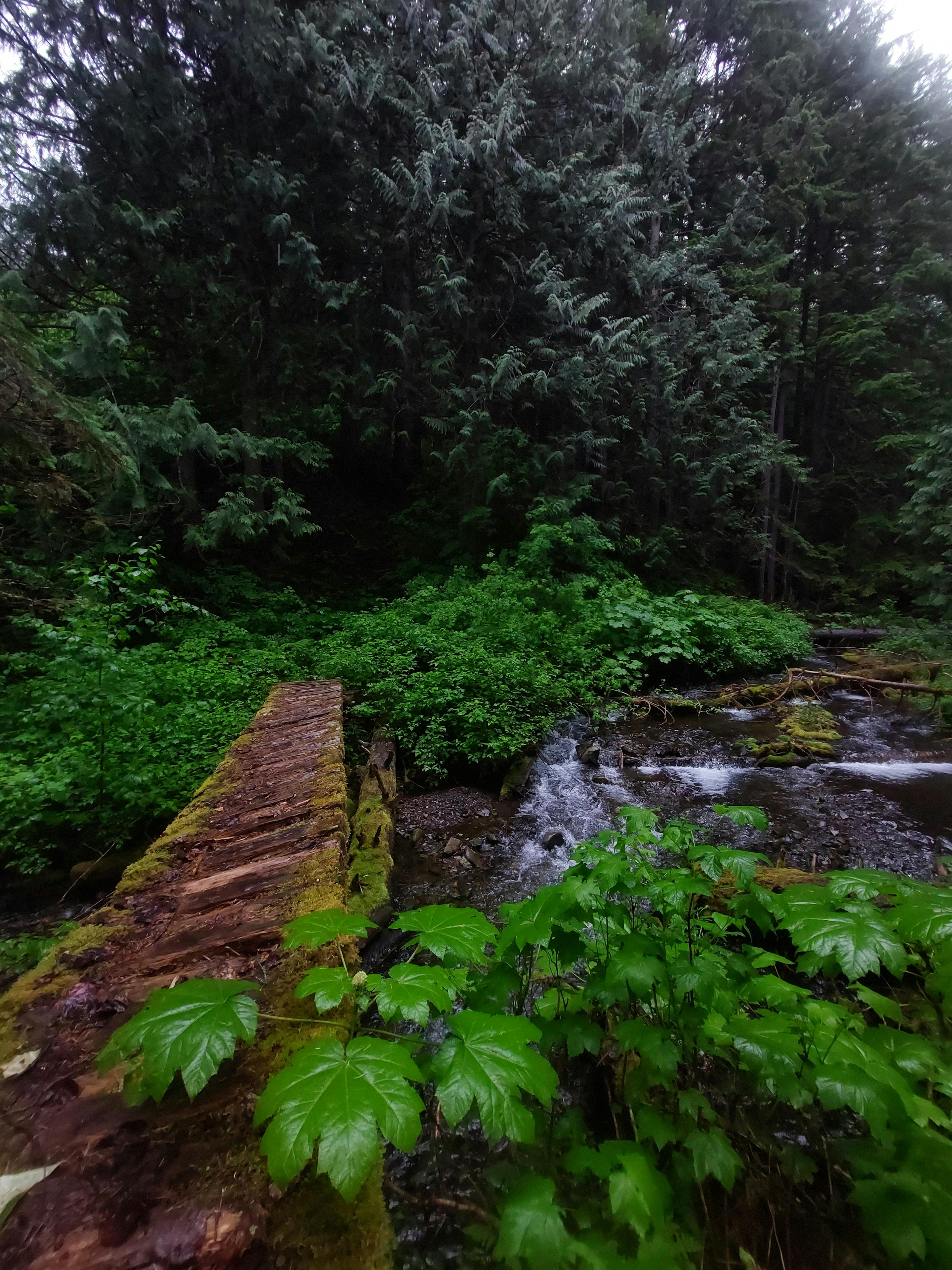 Rainy bridge along Dewdney Trail