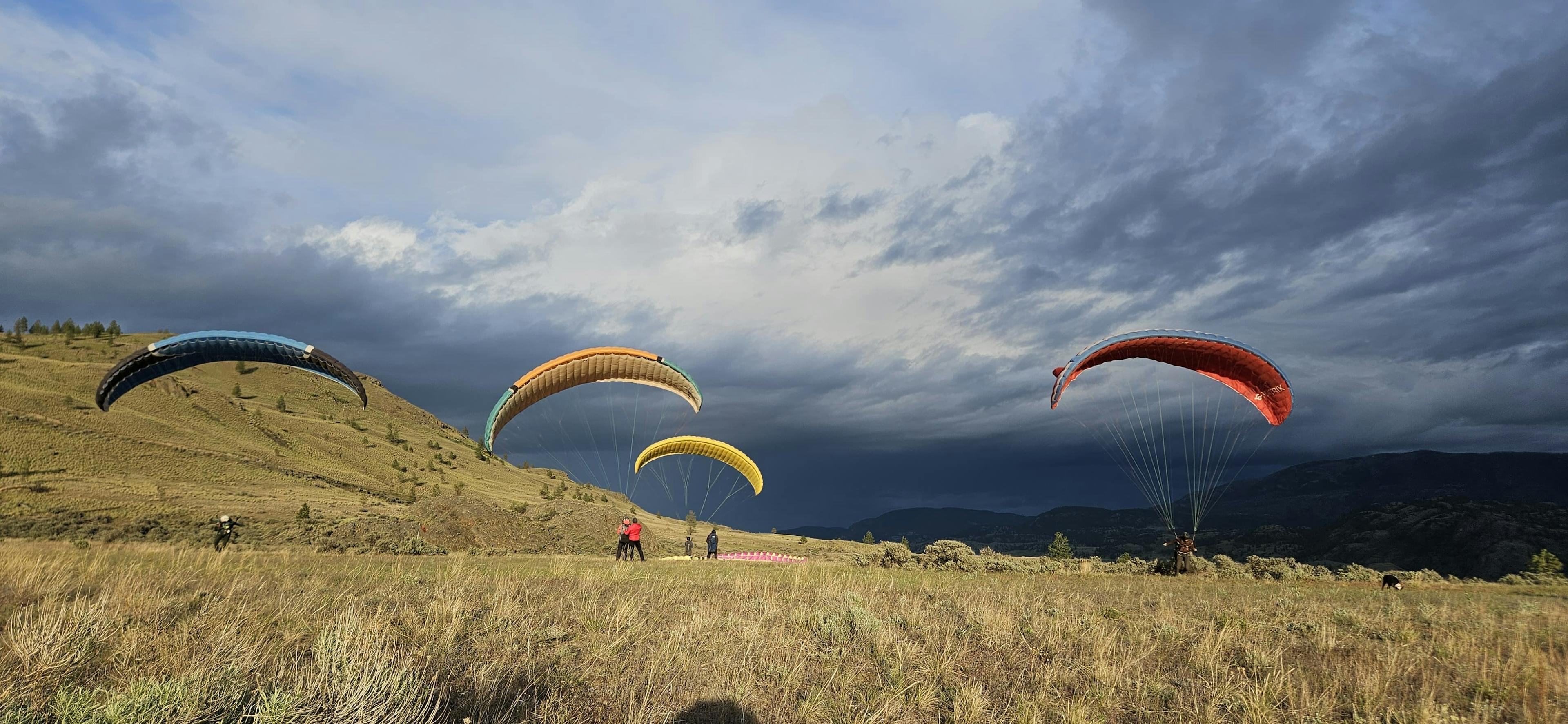 Troop of paragliders handling in Savona. Photo cred: not me.
