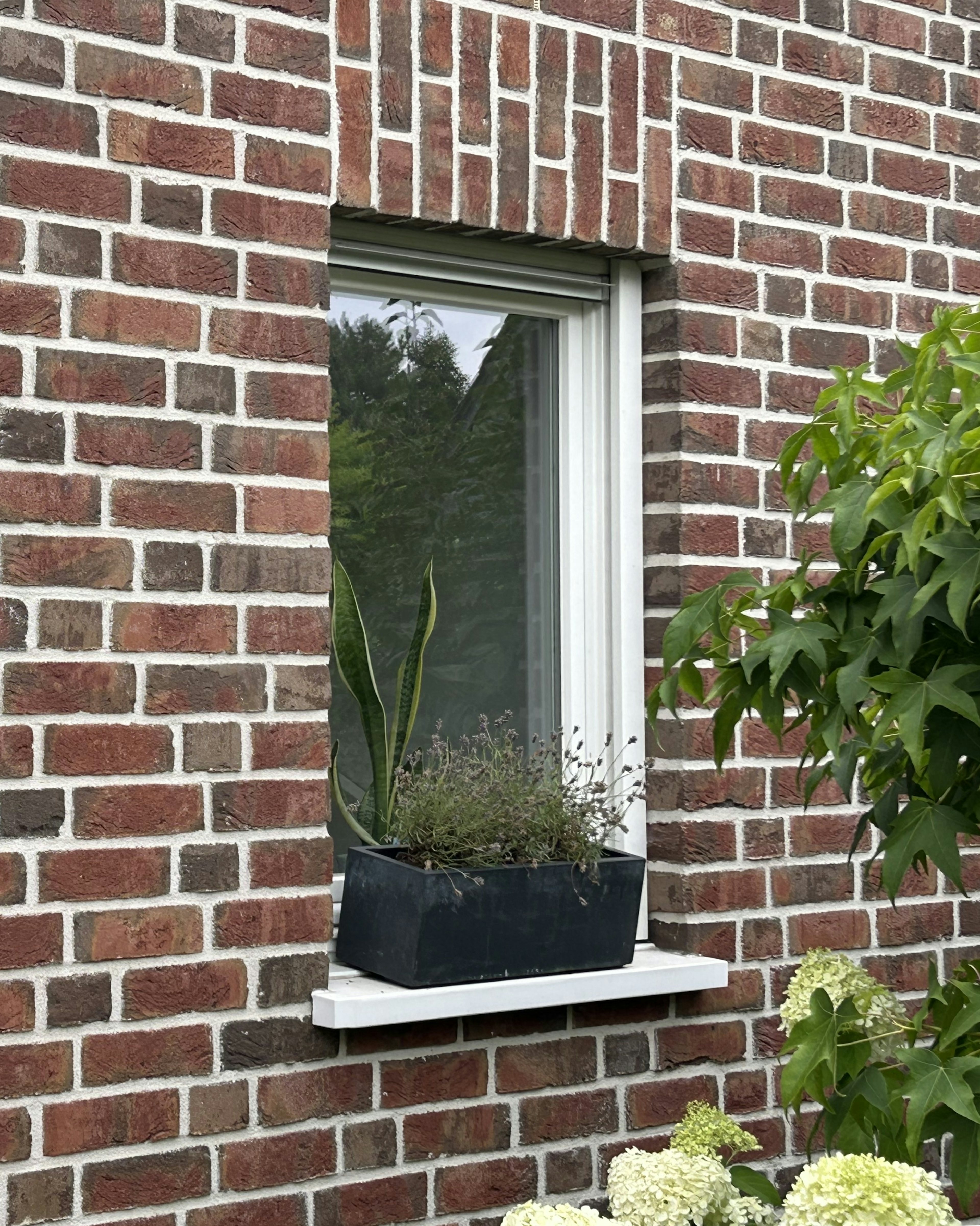 Fensterbrett SLB 591 mit Blumenkasten