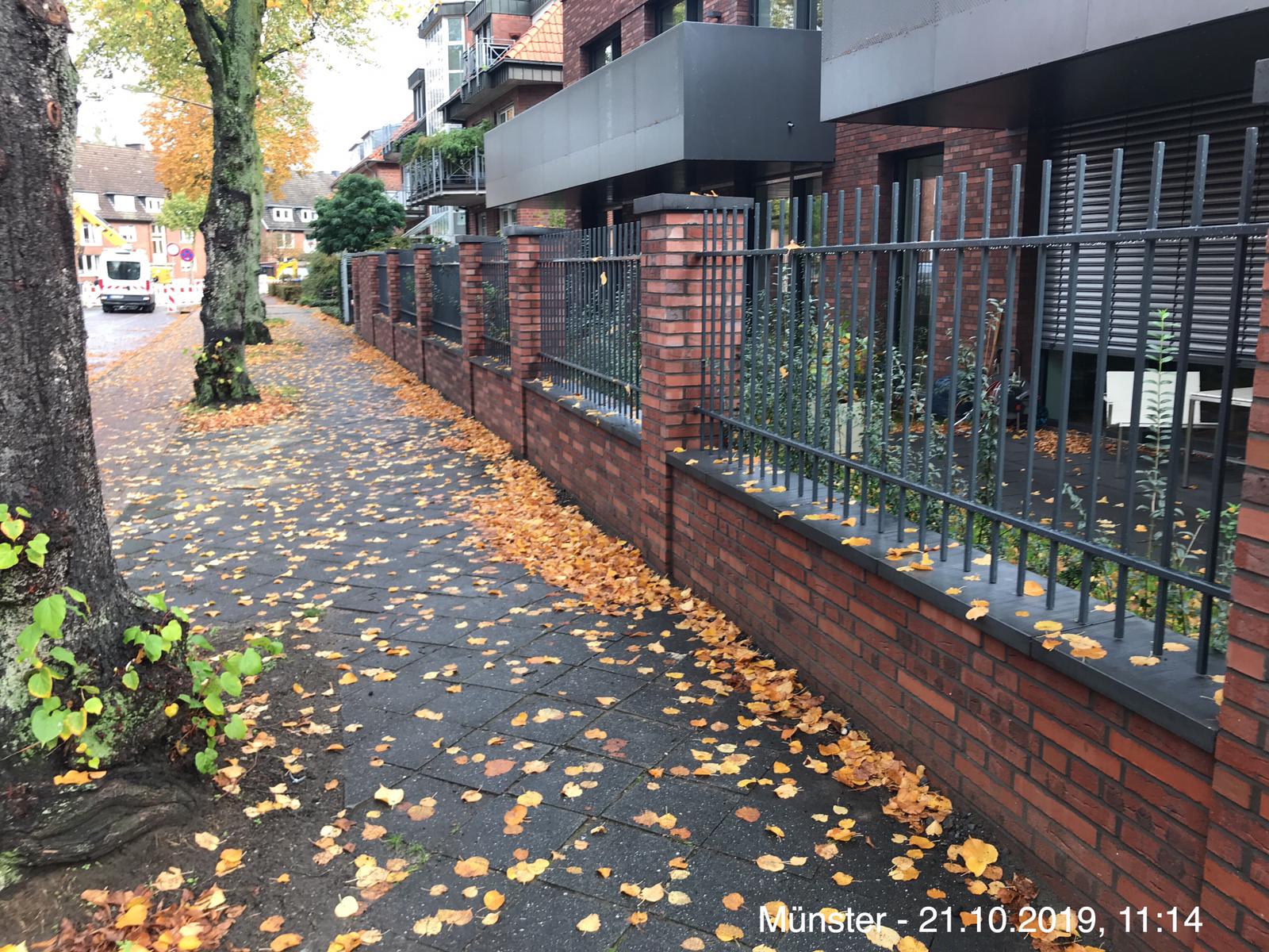 Grenzmauer mit Betonabdeckungen MAP Pultdach