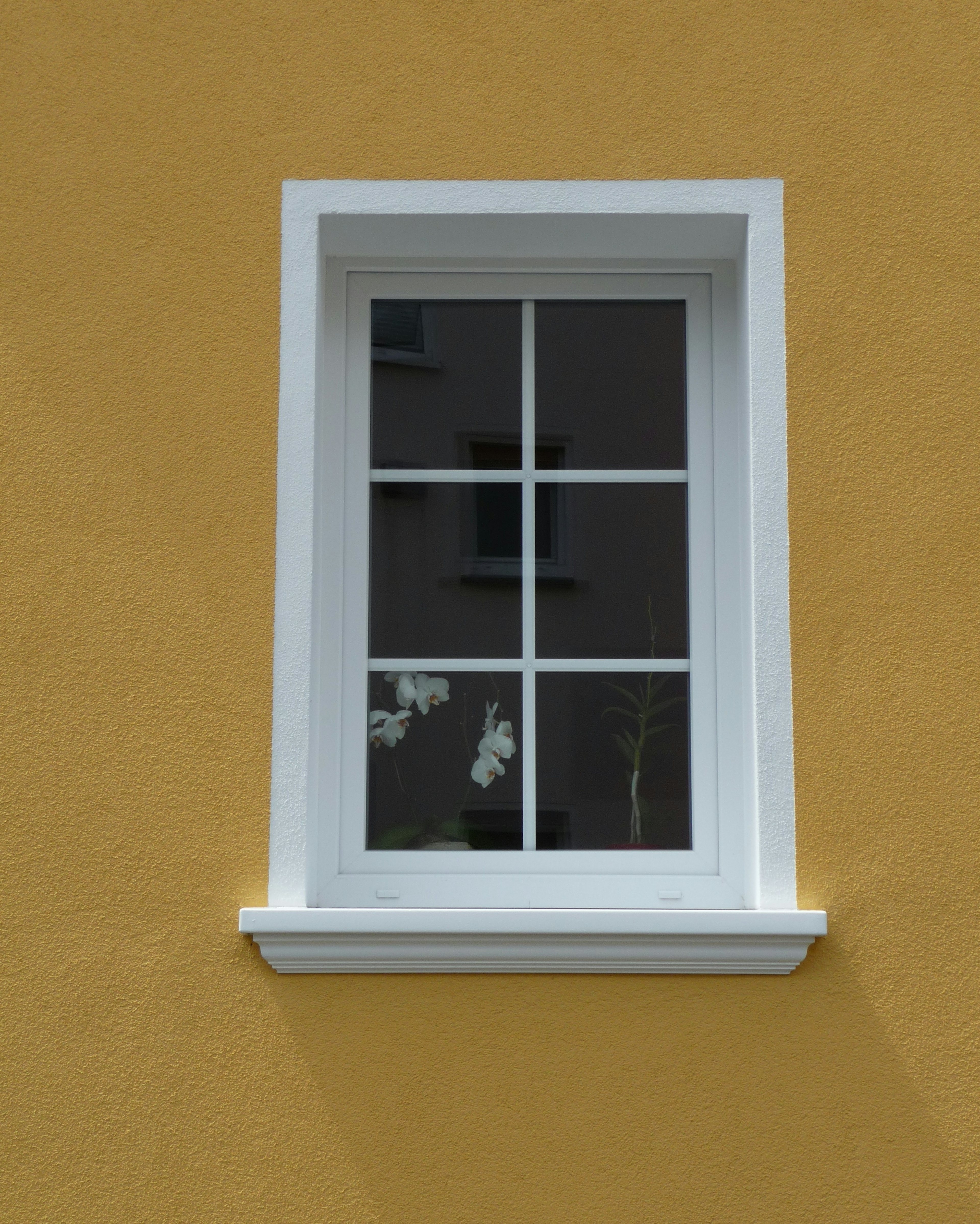 Optisch ansprechende Fenstergestaltung mit SLB 550