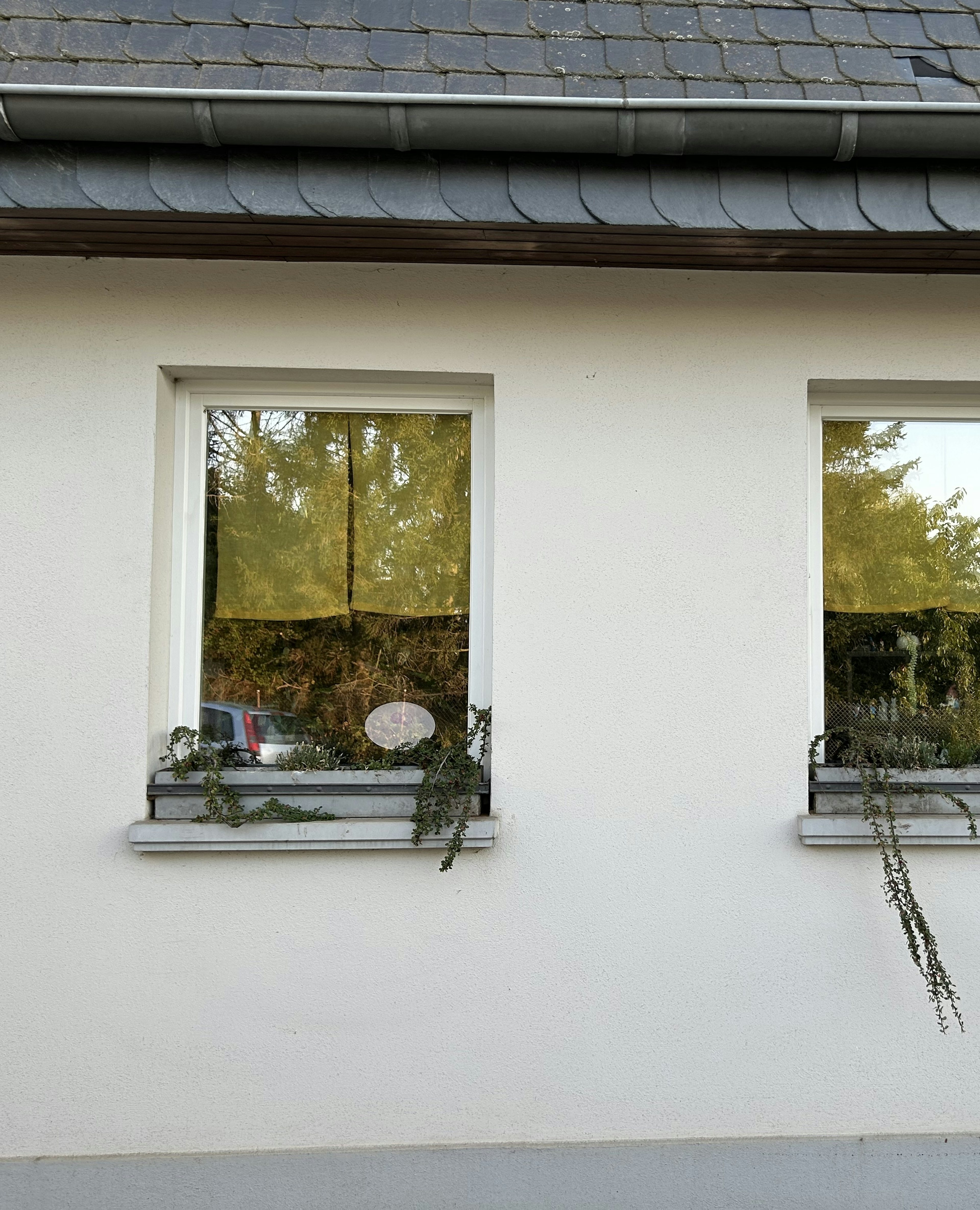 Zwei Fenster mit Betonfensterbänken SLB 400