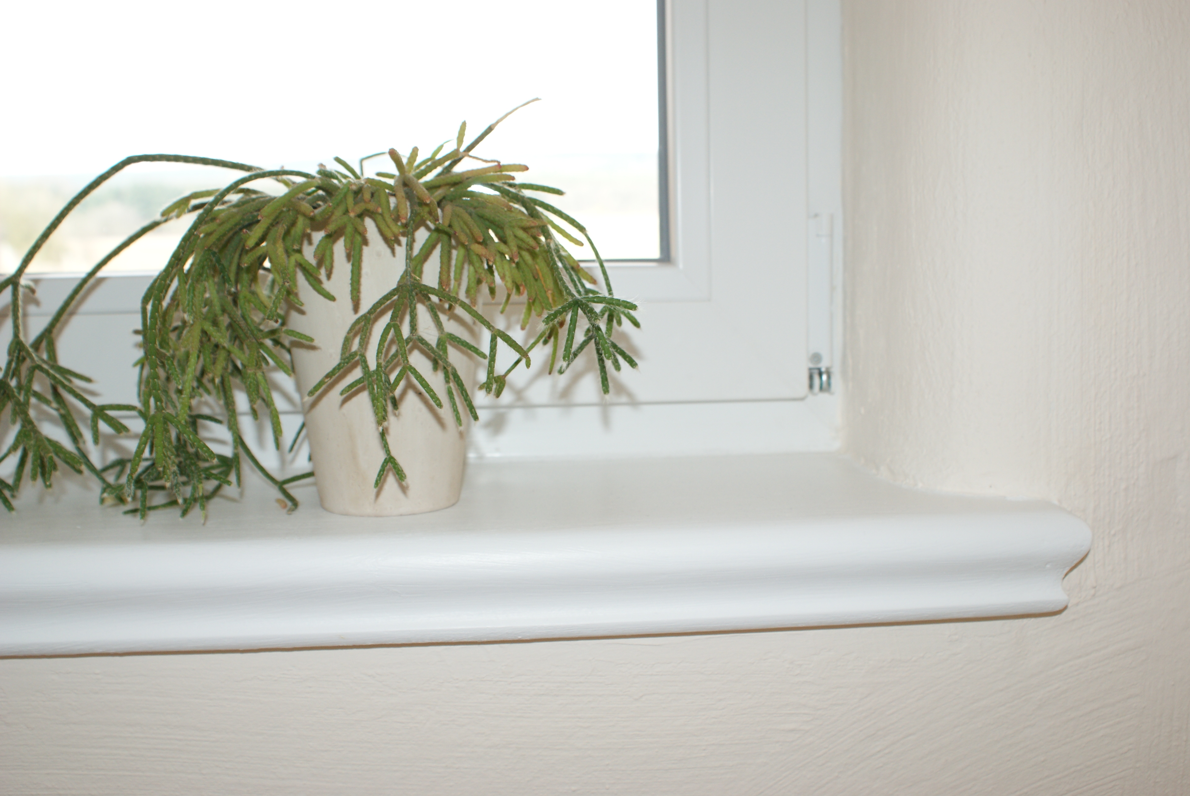 Gerundete Innenfensterbank SLB 590 innen