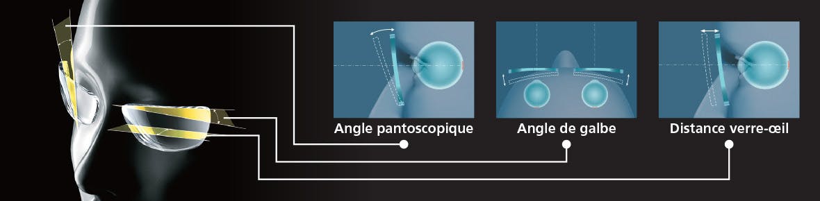 Parce que les gens mènent différents types de styles de vie, ils ont également besoin de différents types de verres.
