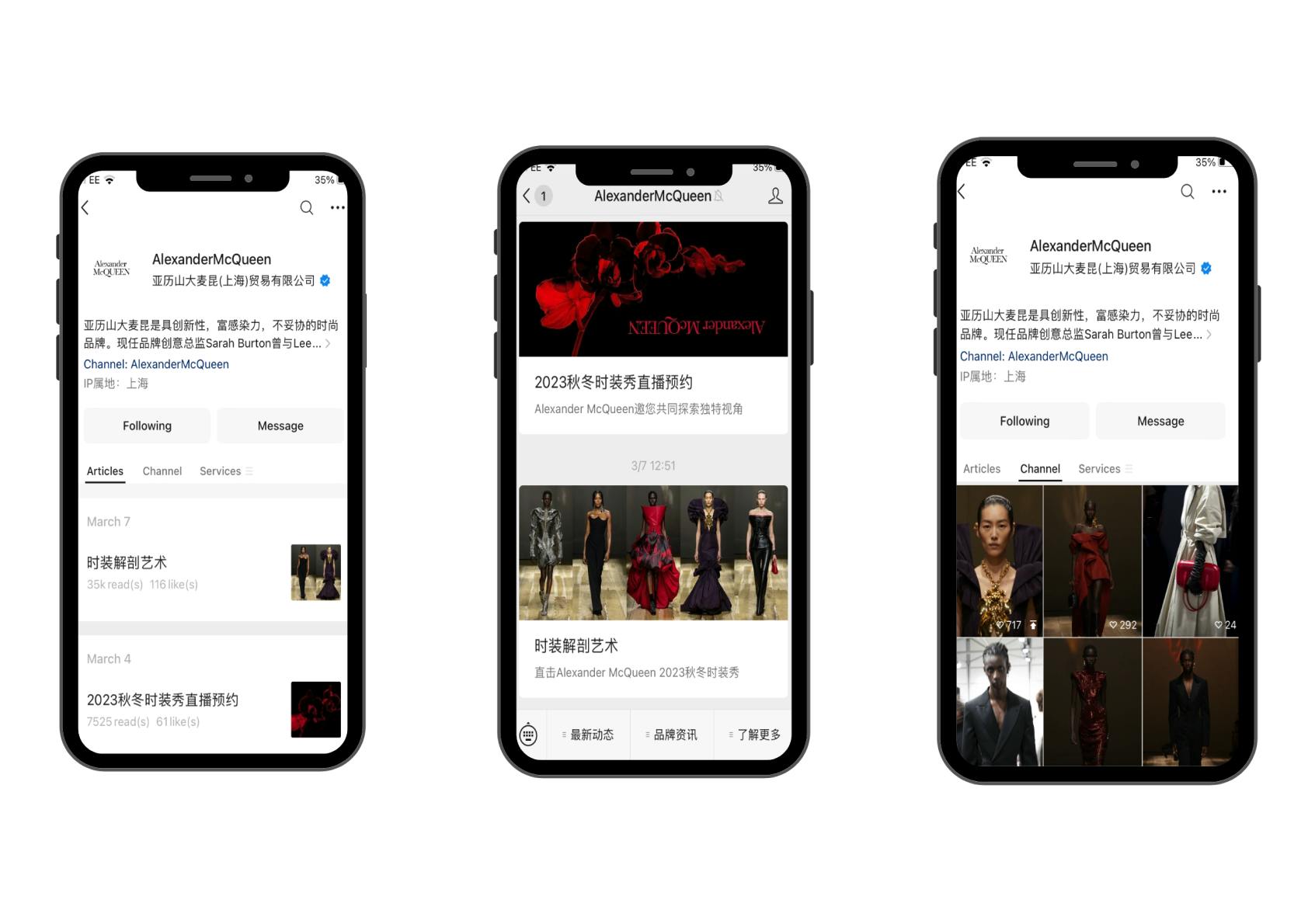 WeChat Article & Video Channel