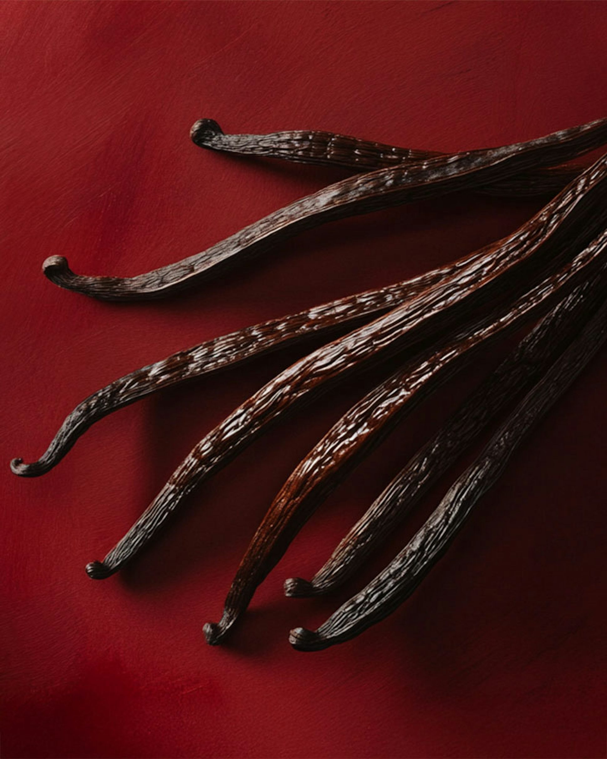 Vanilla - Nina Rouge Crush