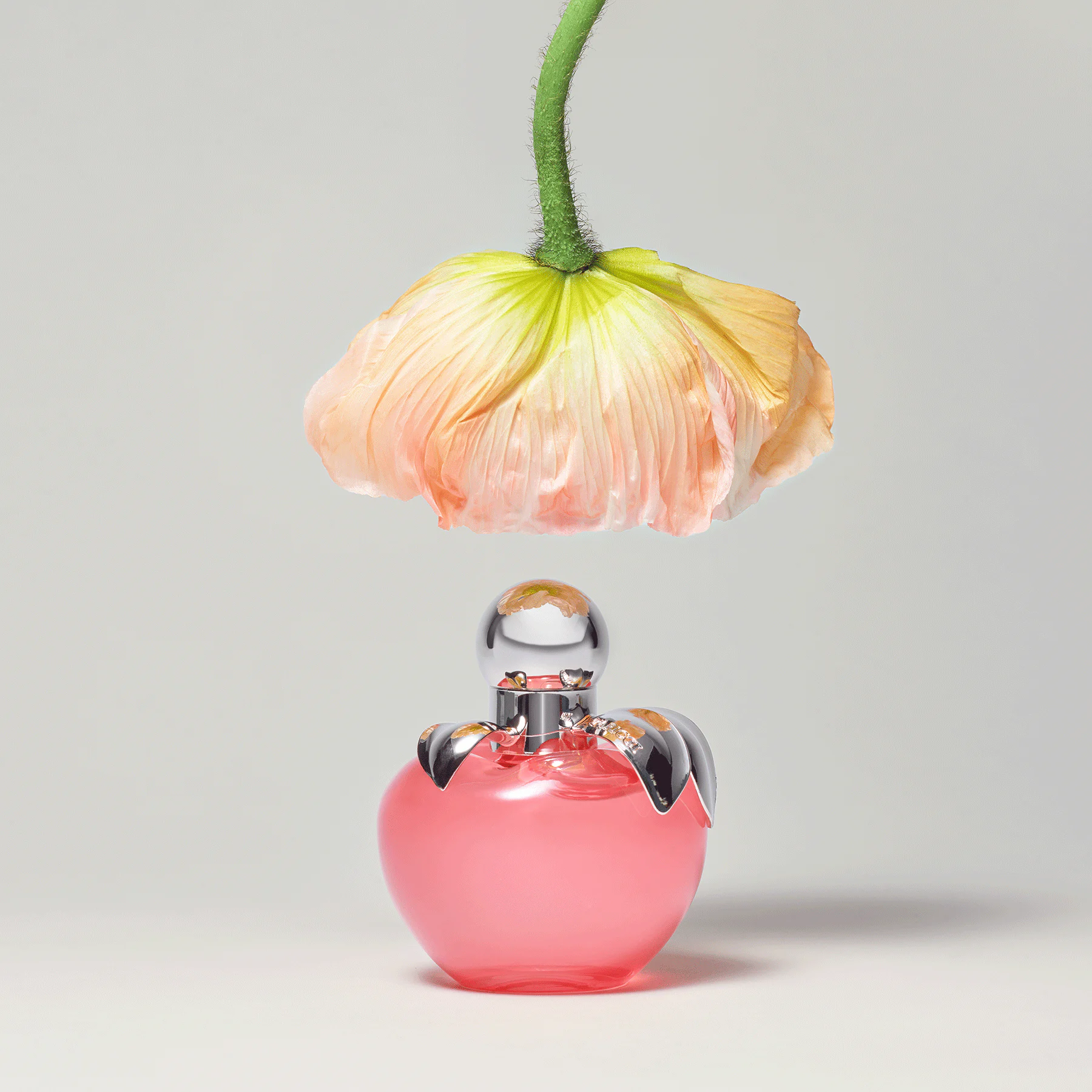 Nina fragrance - Clean - Nina Ricci