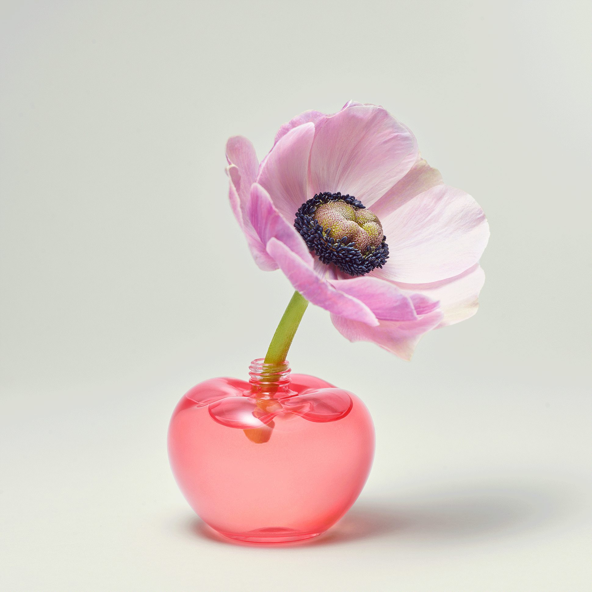 Nina fragrance - Clean - Nina Ricci