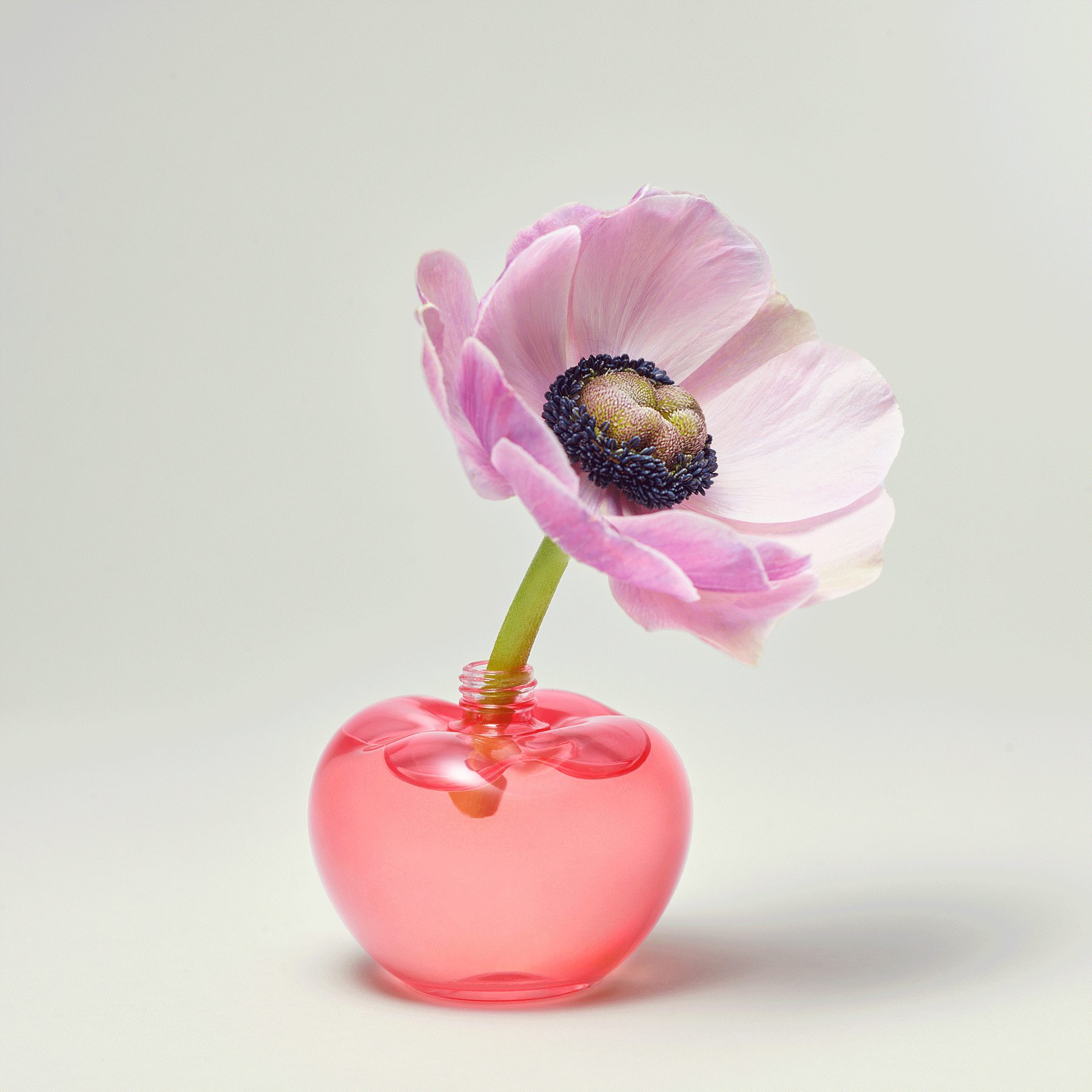 Nina fragrance - Clean - Nina Ricci