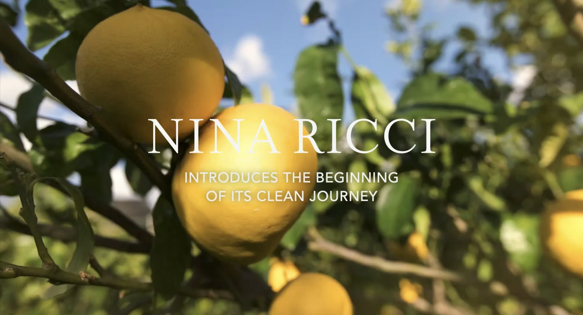 Corporate commitments - Nina Ricci