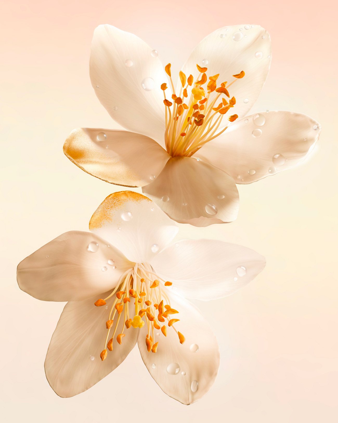 Fleur d'oranger- Vénus de Nina Ricci Eau de Parfum Florale