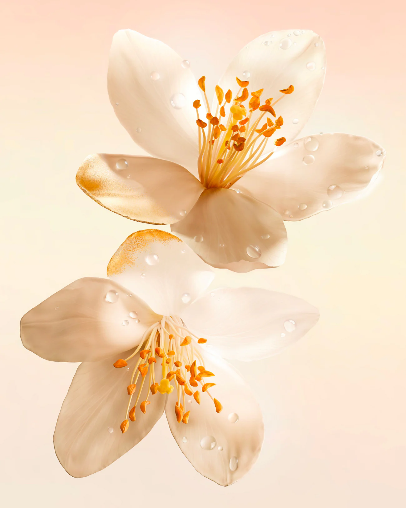 Fleur d'oranger- Vénus de Nina Ricci Eau de Parfum Florale