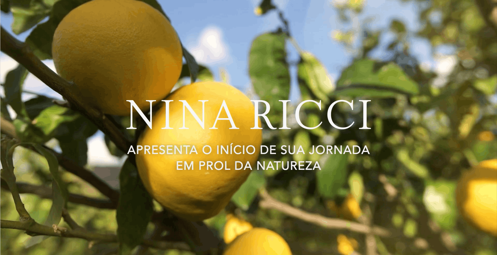 Nina limpa - Nina Ricci