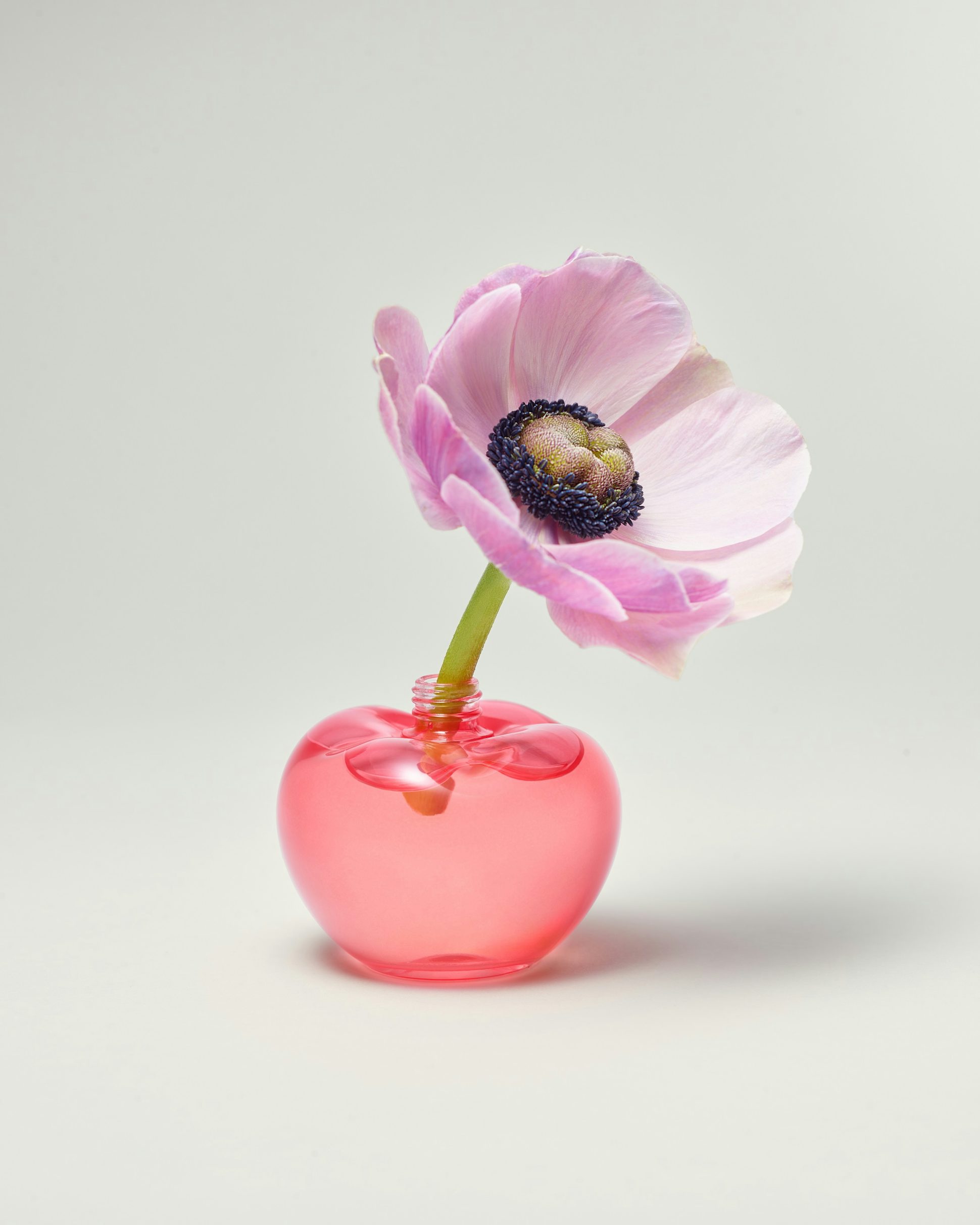 Nina Eau de Toilette - Nina Ricci