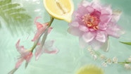 Payment Nina Ricci
