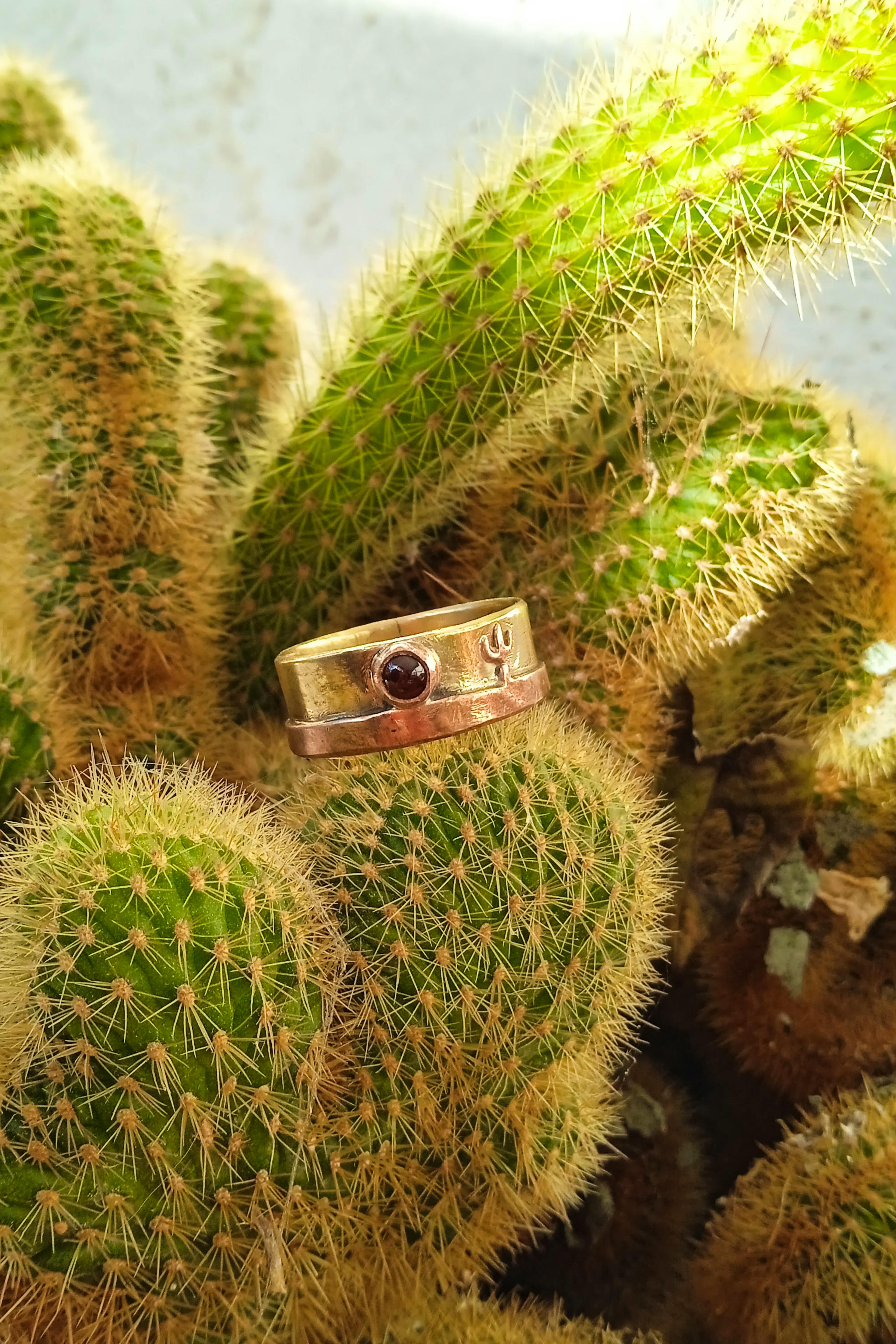 bague cuivre laiton posé sur un cactus