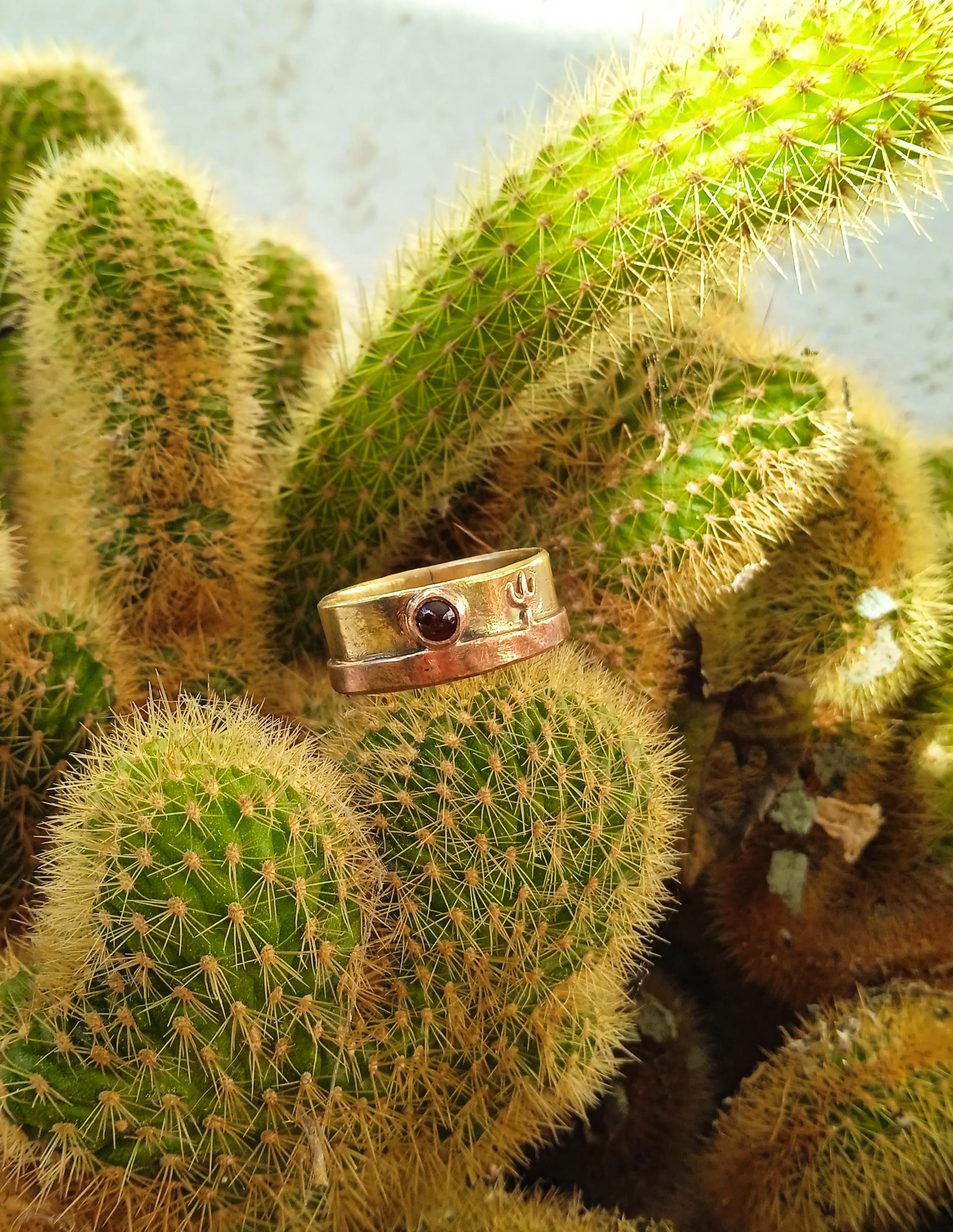 bague cuivre laiton posé sur un cactus