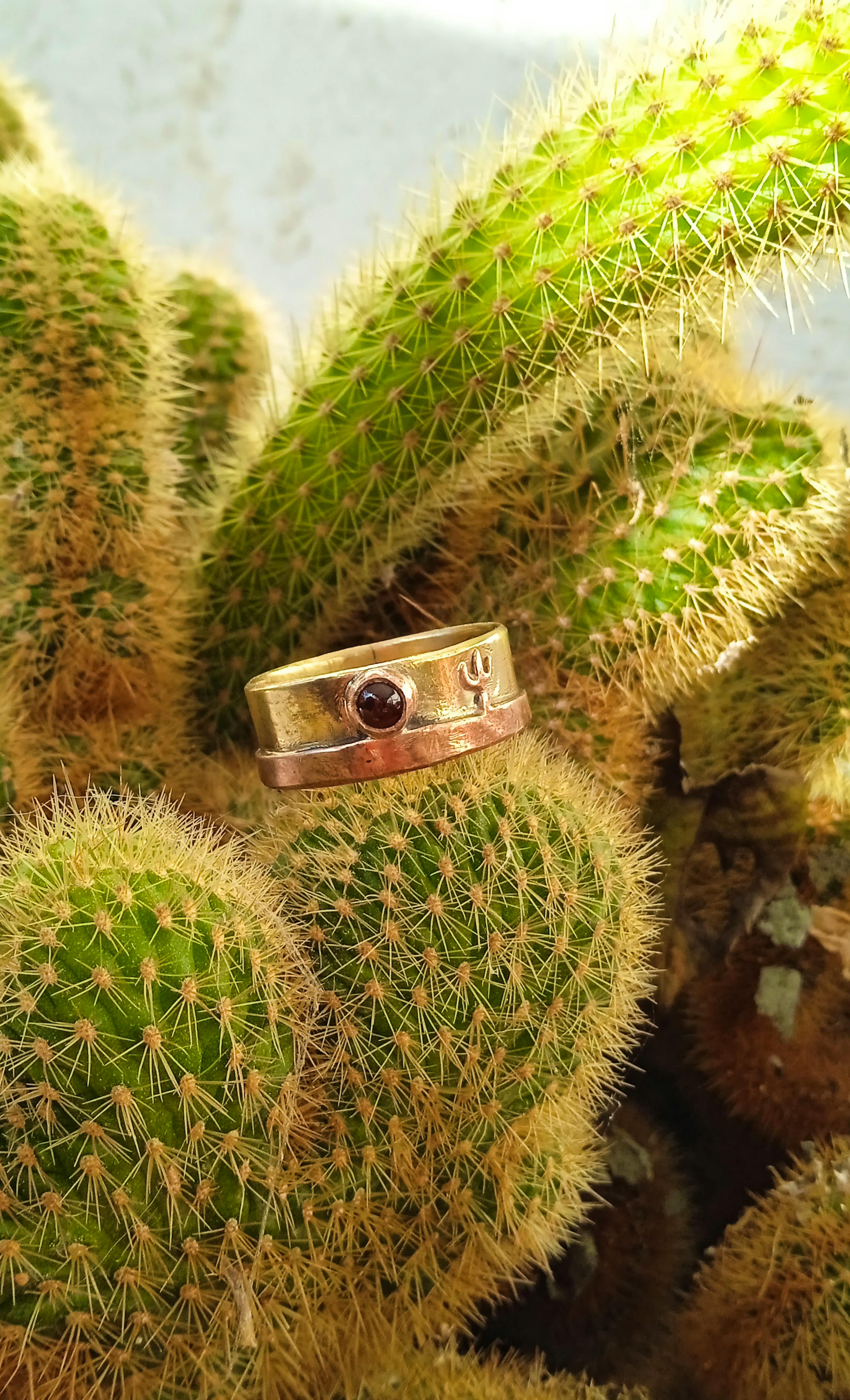 bague cuivre laiton posé sur un cactus
