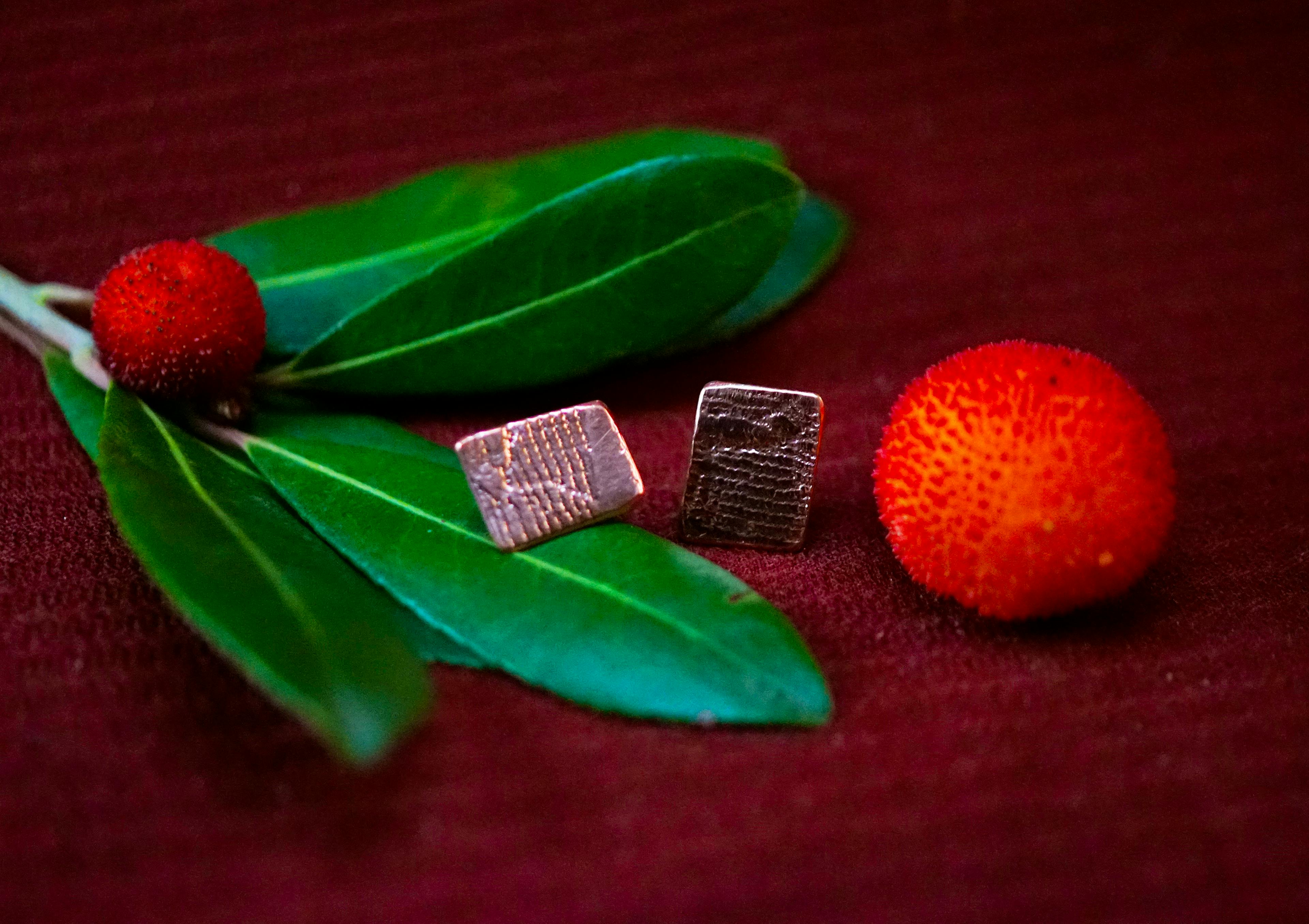 Boucles d'oreilles posées sur une branche d'arbousié