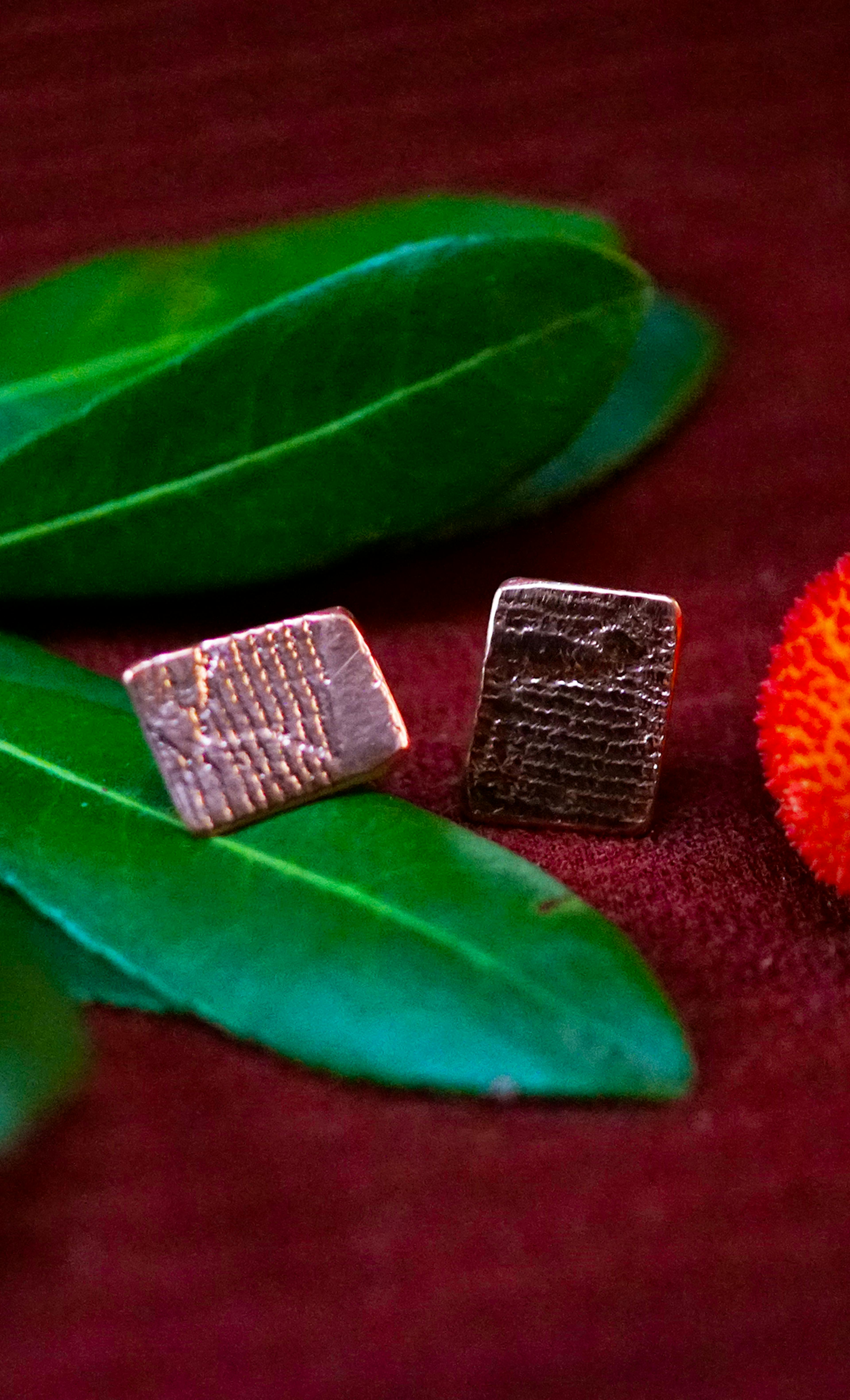 Boucles d'oreilles posées sur une branche d'arbousié