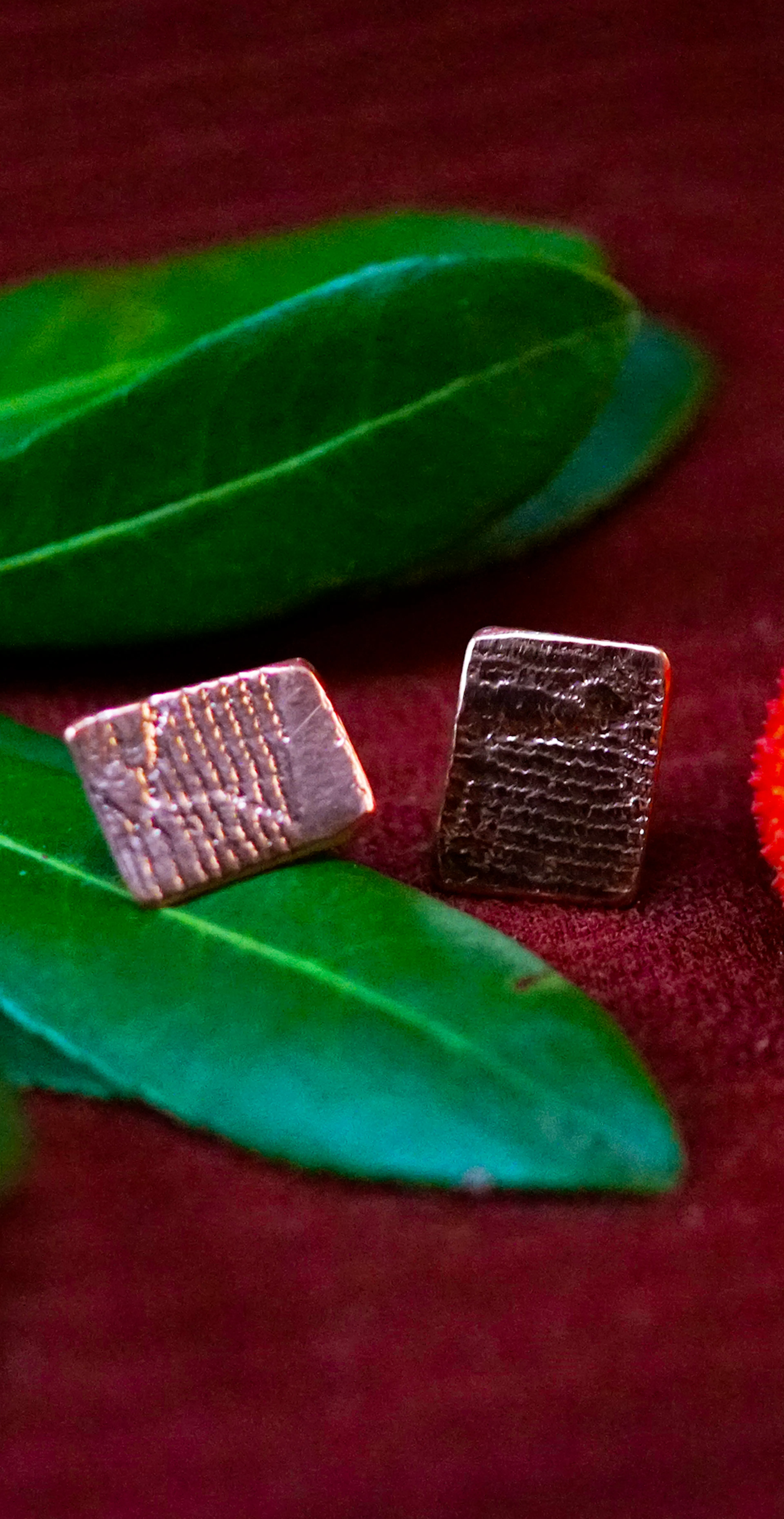 Boucles d'oreilles posées sur une branche d'arbousié