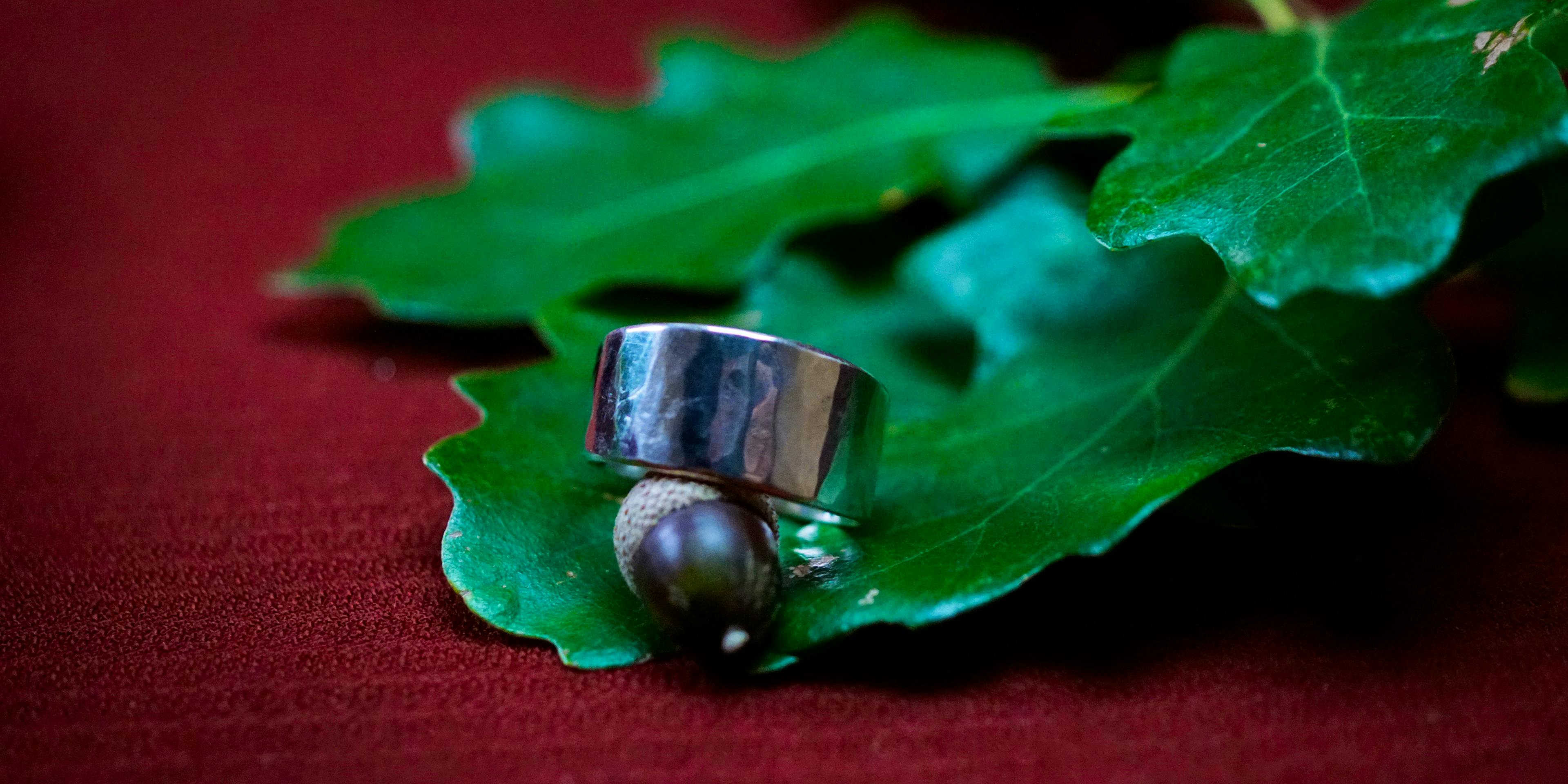 Bague cuivre plaqué argent posé sur des feuilles de chênes
