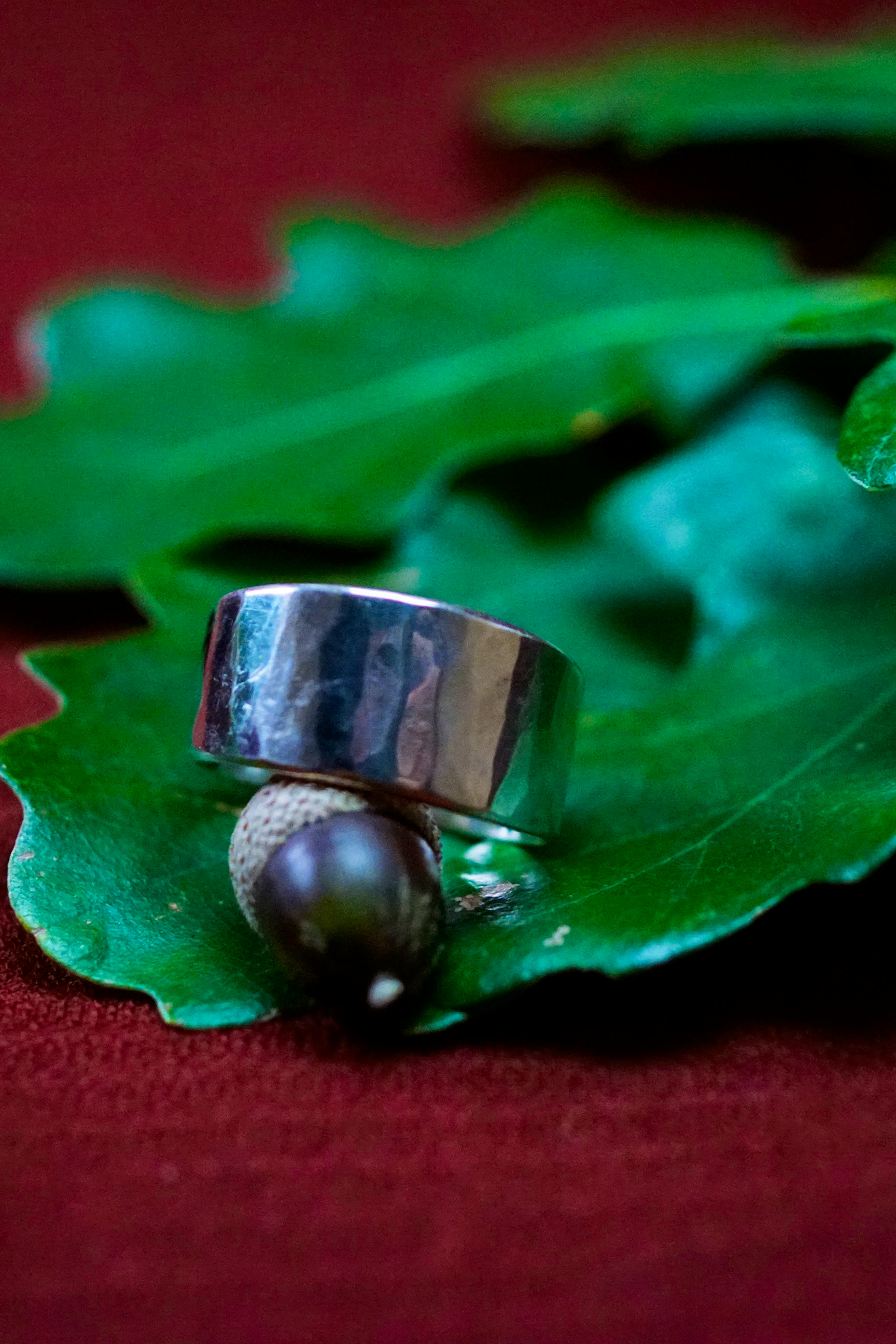 Bague cuivre plaqué argent posé sur des feuilles de chênes
