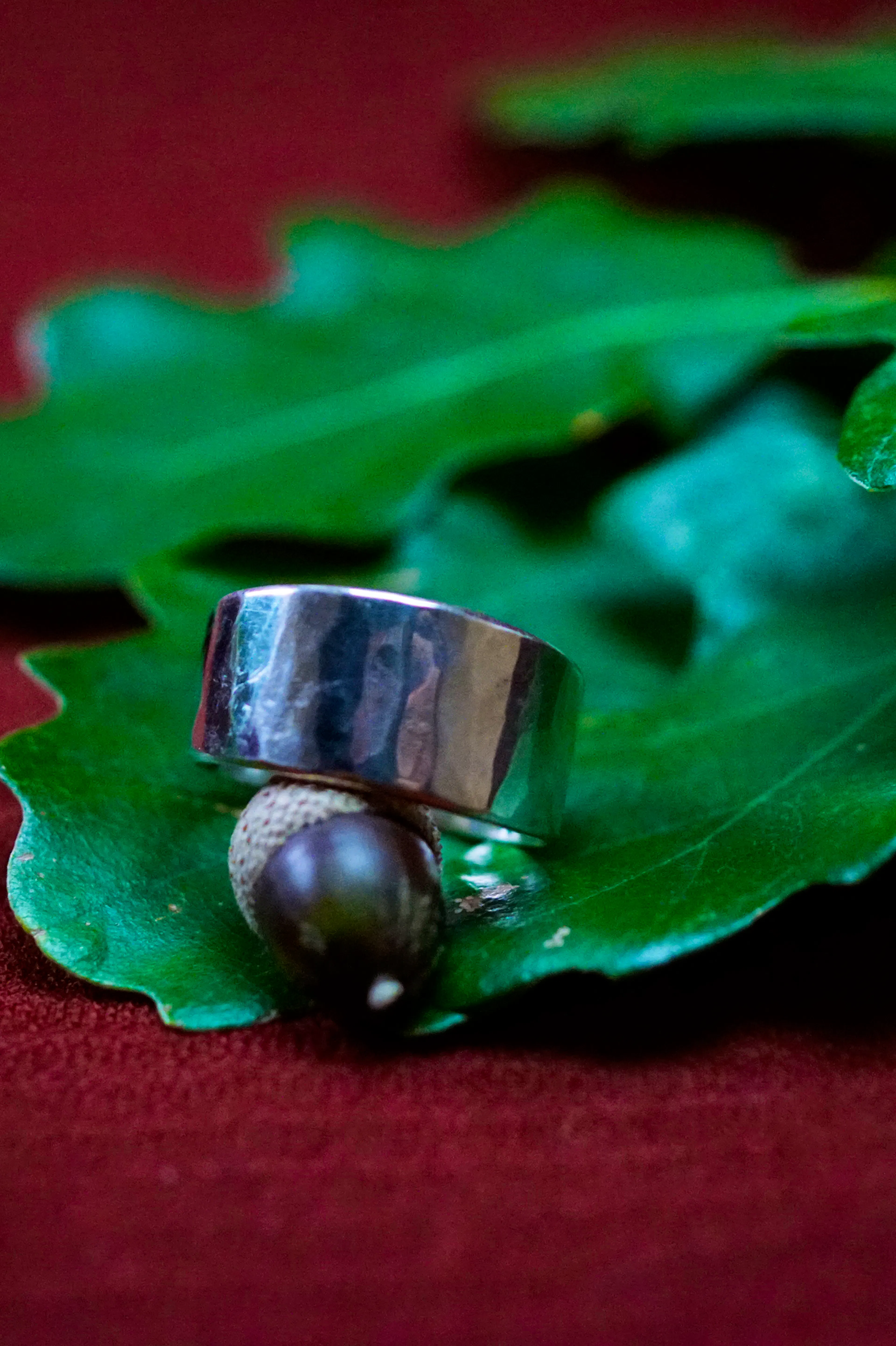 Bague cuivre plaqué argent posé sur des feuilles de chênes