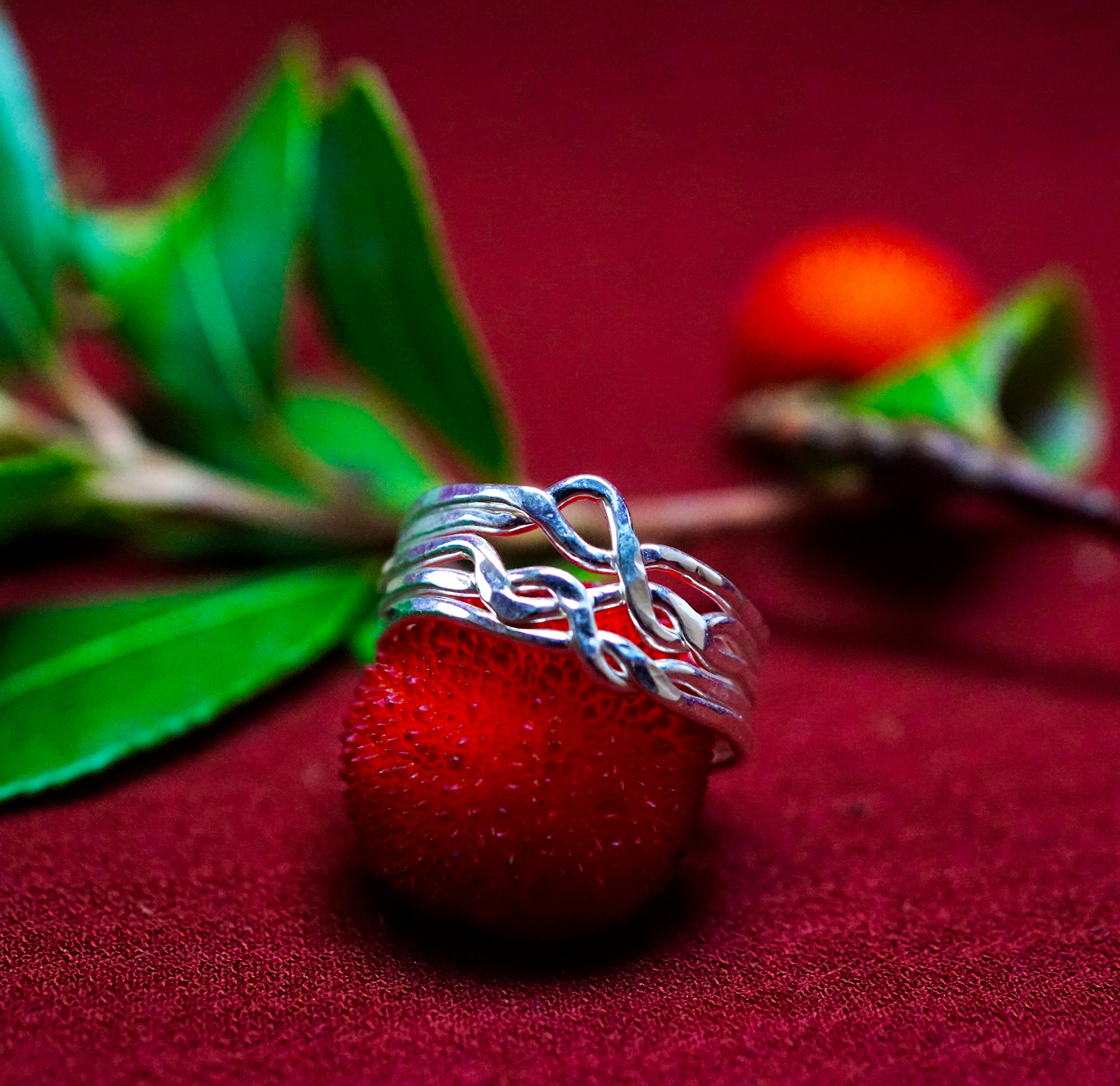 Bague casse tête posé sur une arbouse