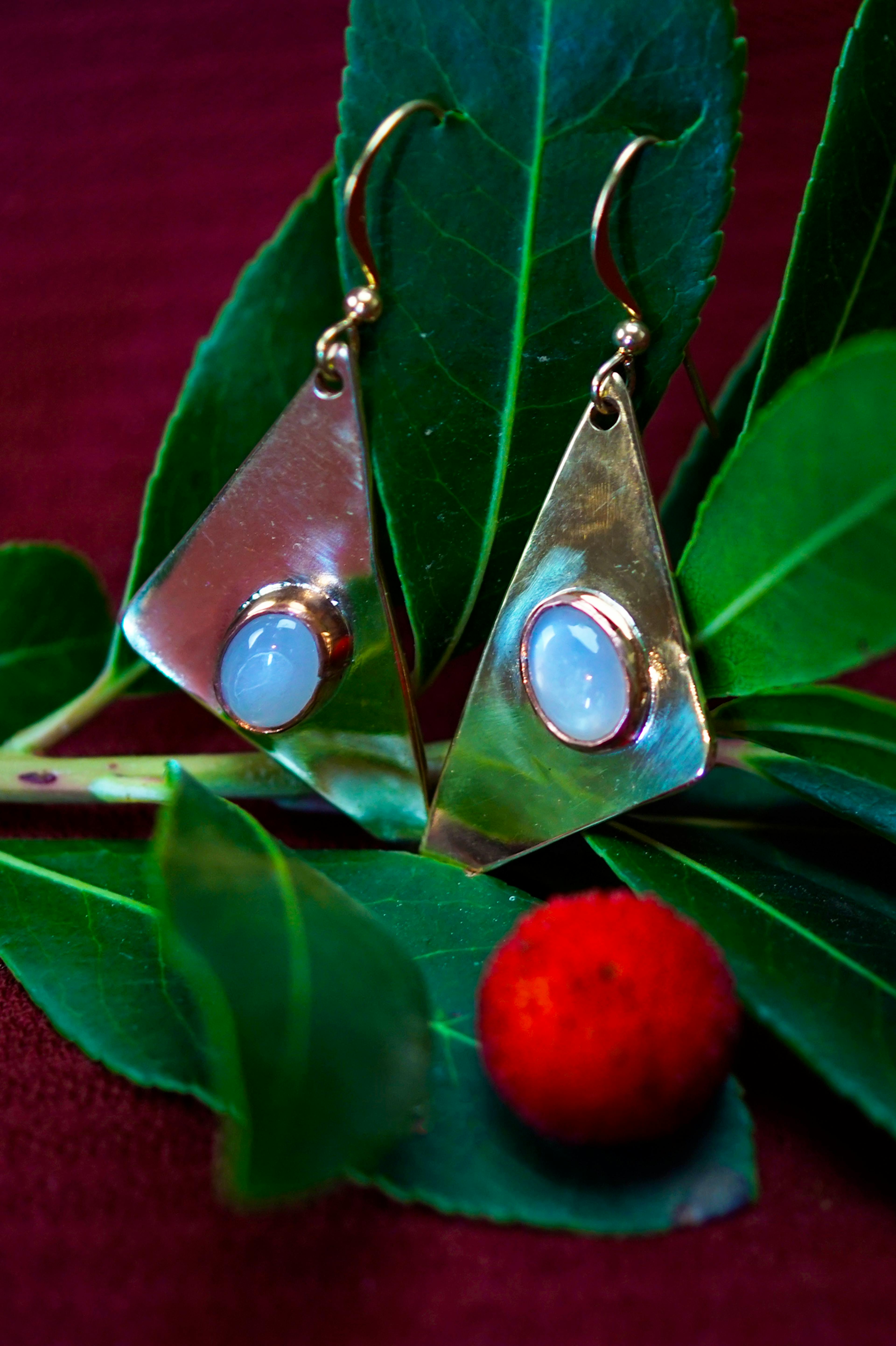 Boucle d'oreilles posées sur une branche d'arbousié