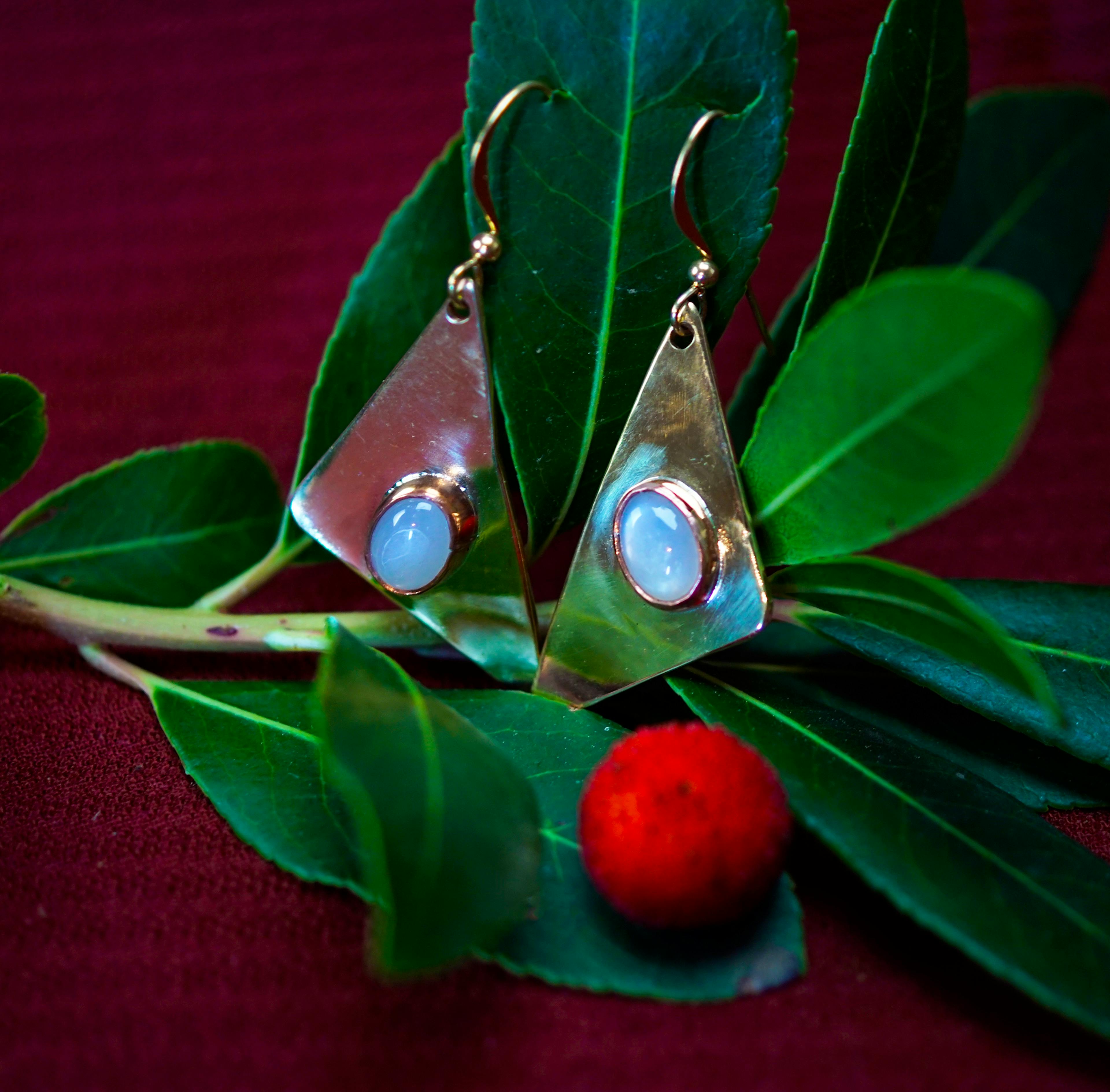 Boucle d'oreilles posées sur une branche d'arbousié