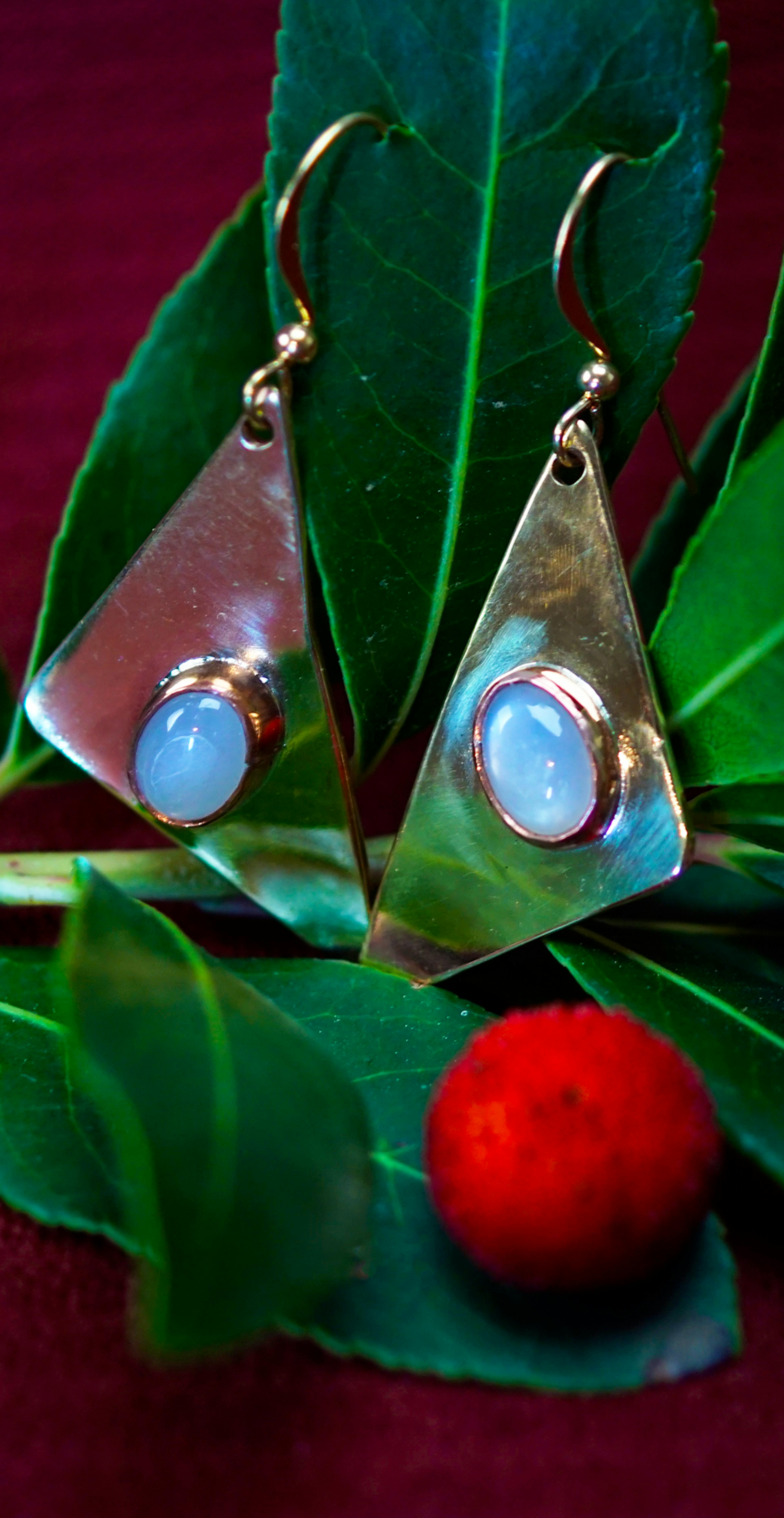 Boucle d'oreilles posées sur une branche d'arbousié