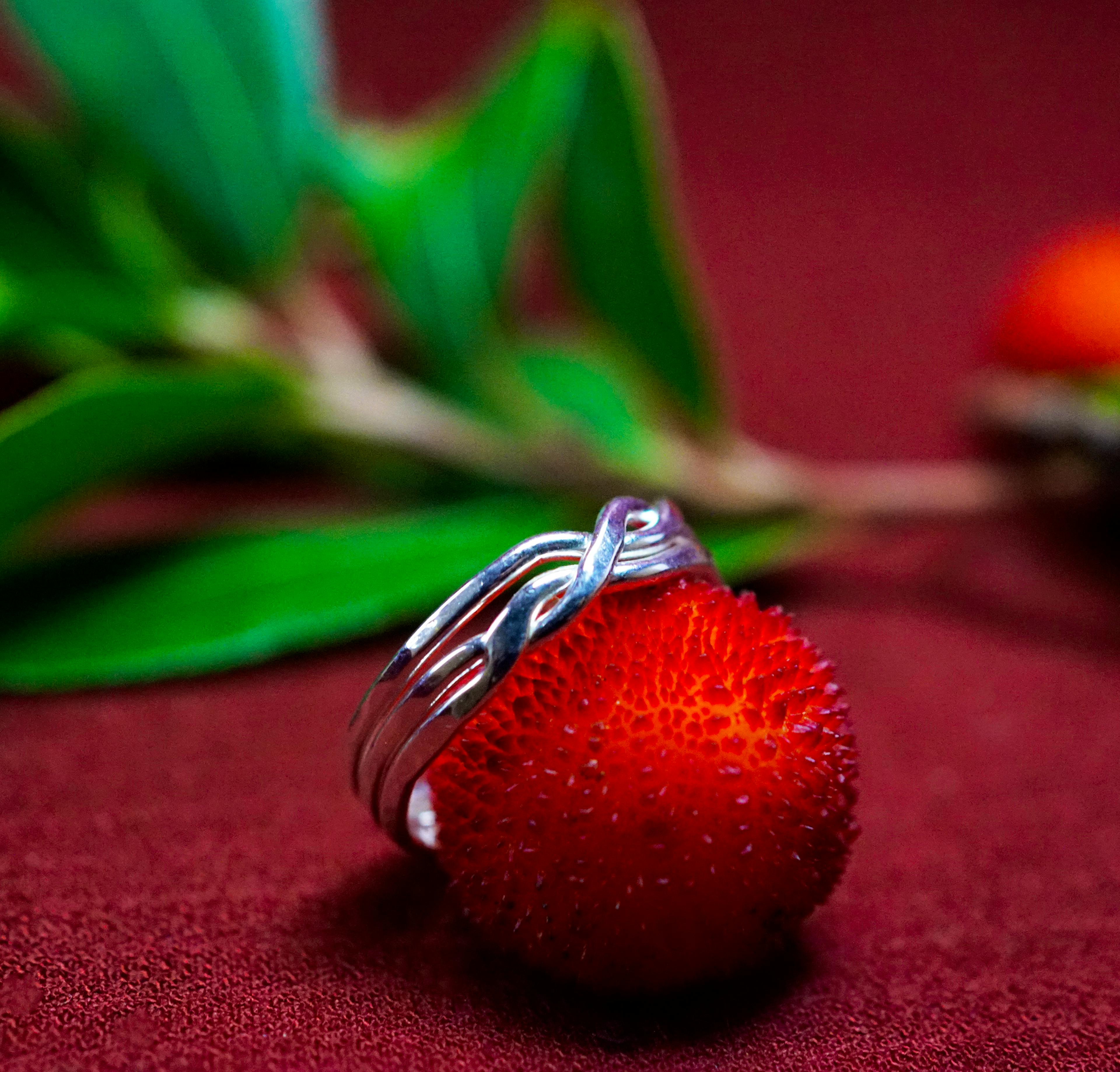 Bague casse tête posé sur une arbouse
