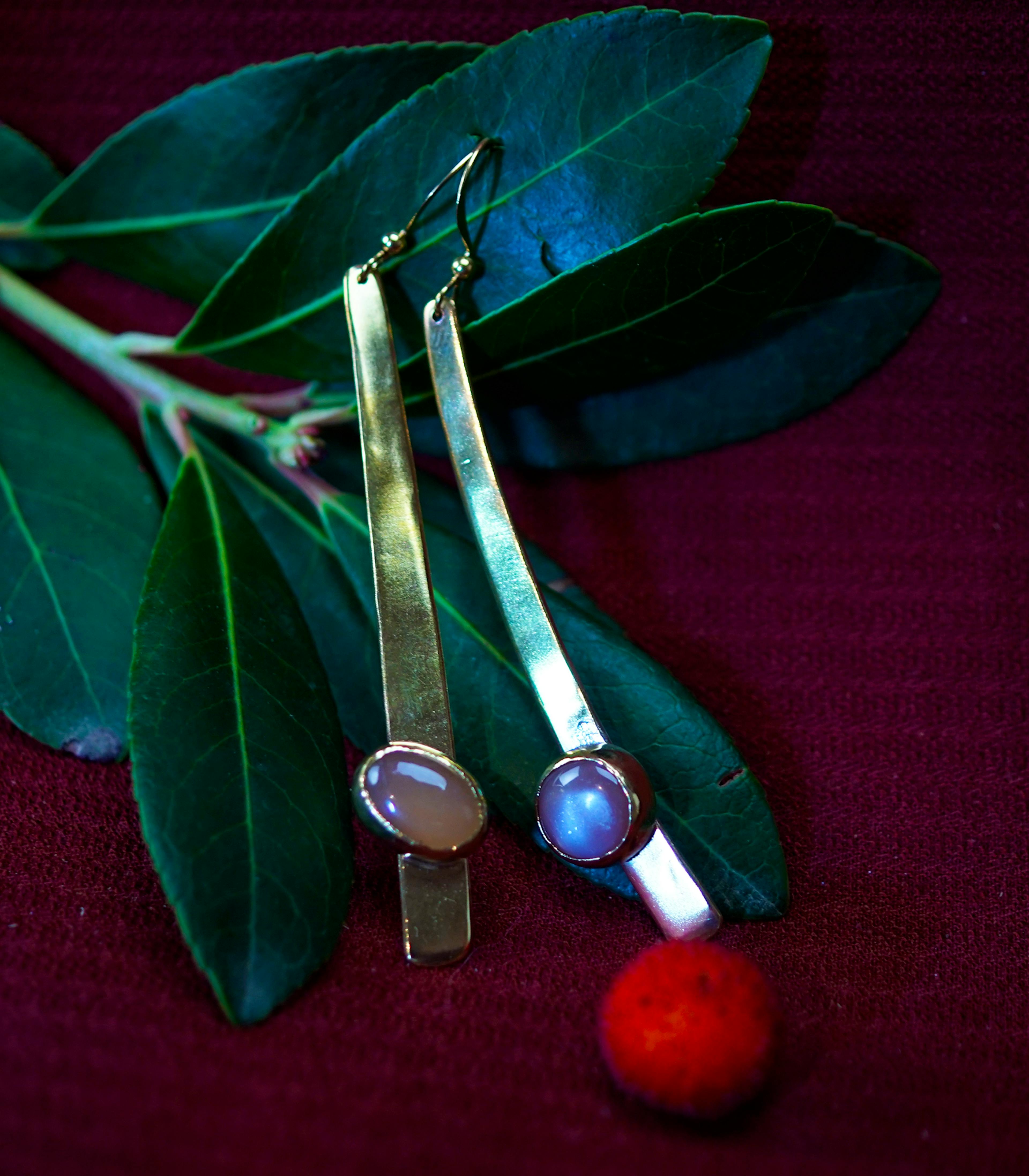 Boucle d'oreilles posées sur une branche d'arbousié