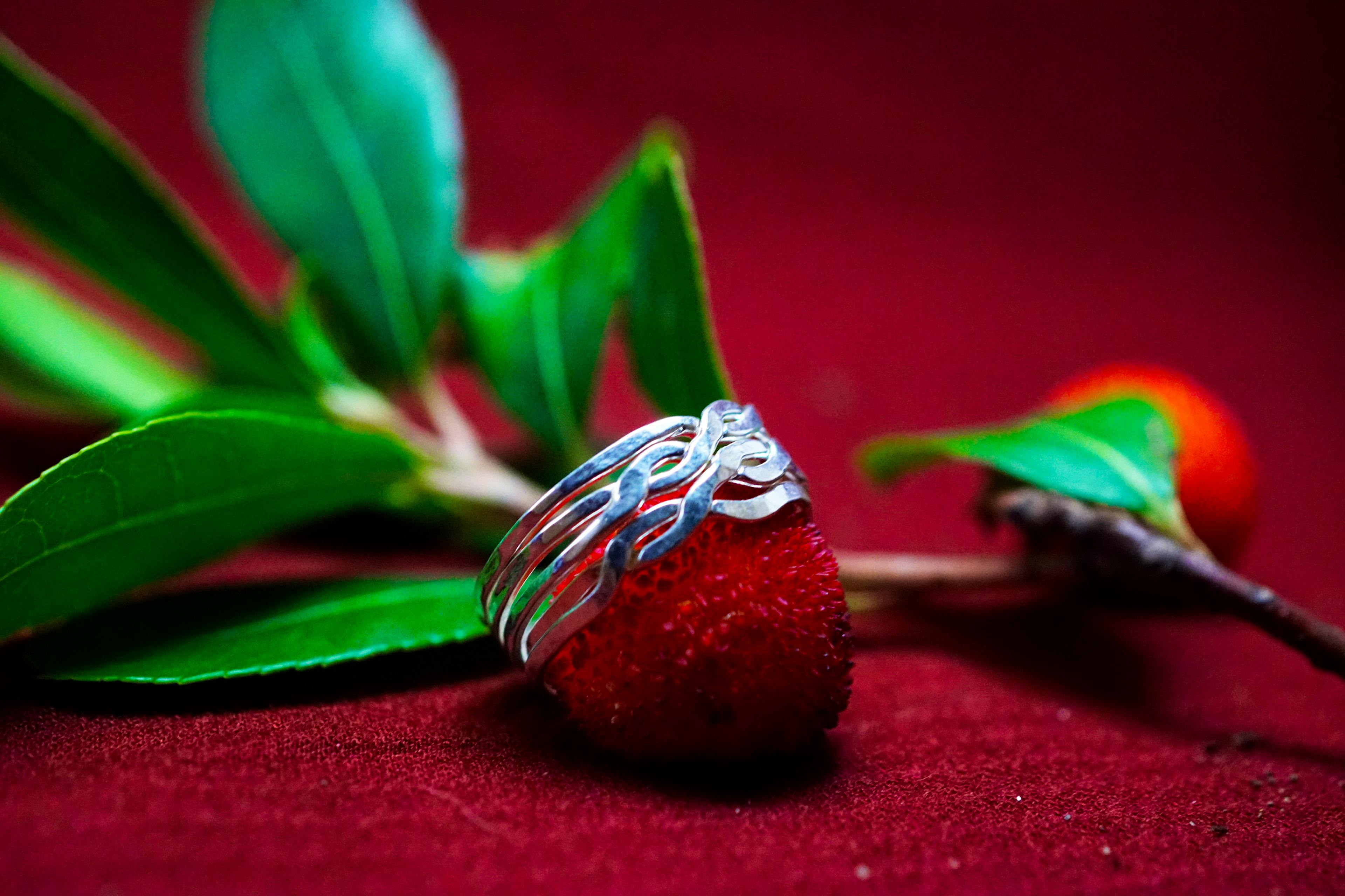 Bague casse tête posé sur une arbouse