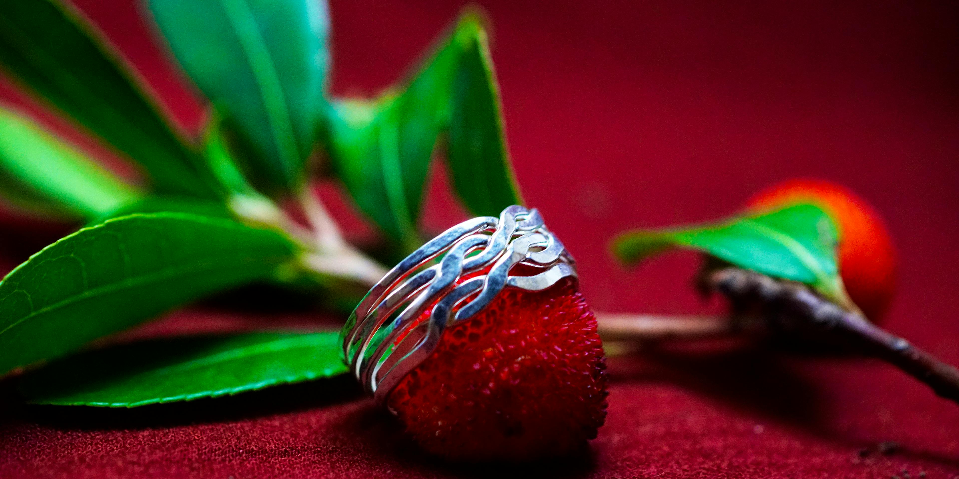Bague casse tête posé sur une arbouse