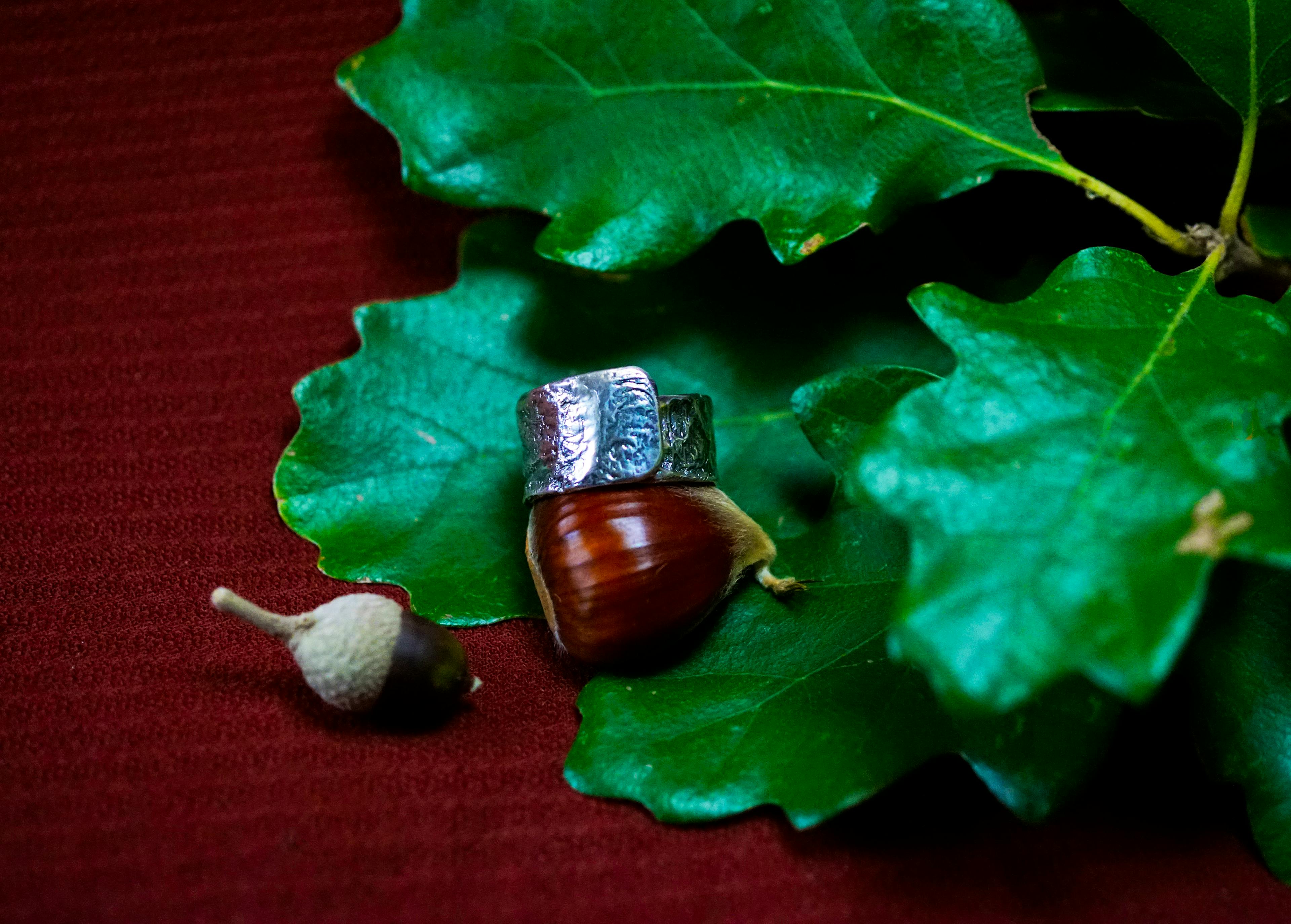 Bague cuivre plaqué argent posé sur une chataigne et des feuilles de chênes
