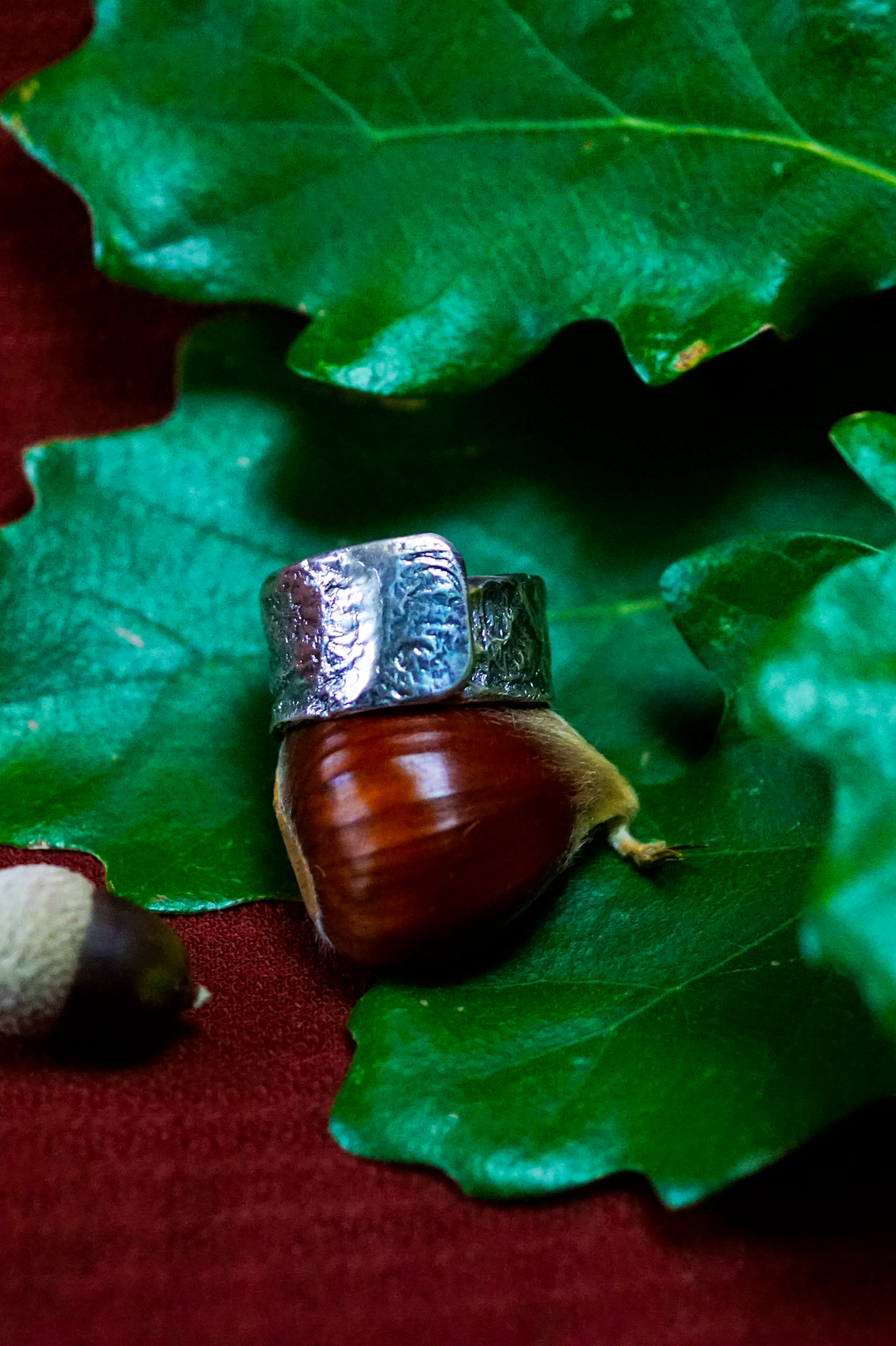 Bague cuivre plaqué argent posé sur une chataigne et des feuilles de chênes