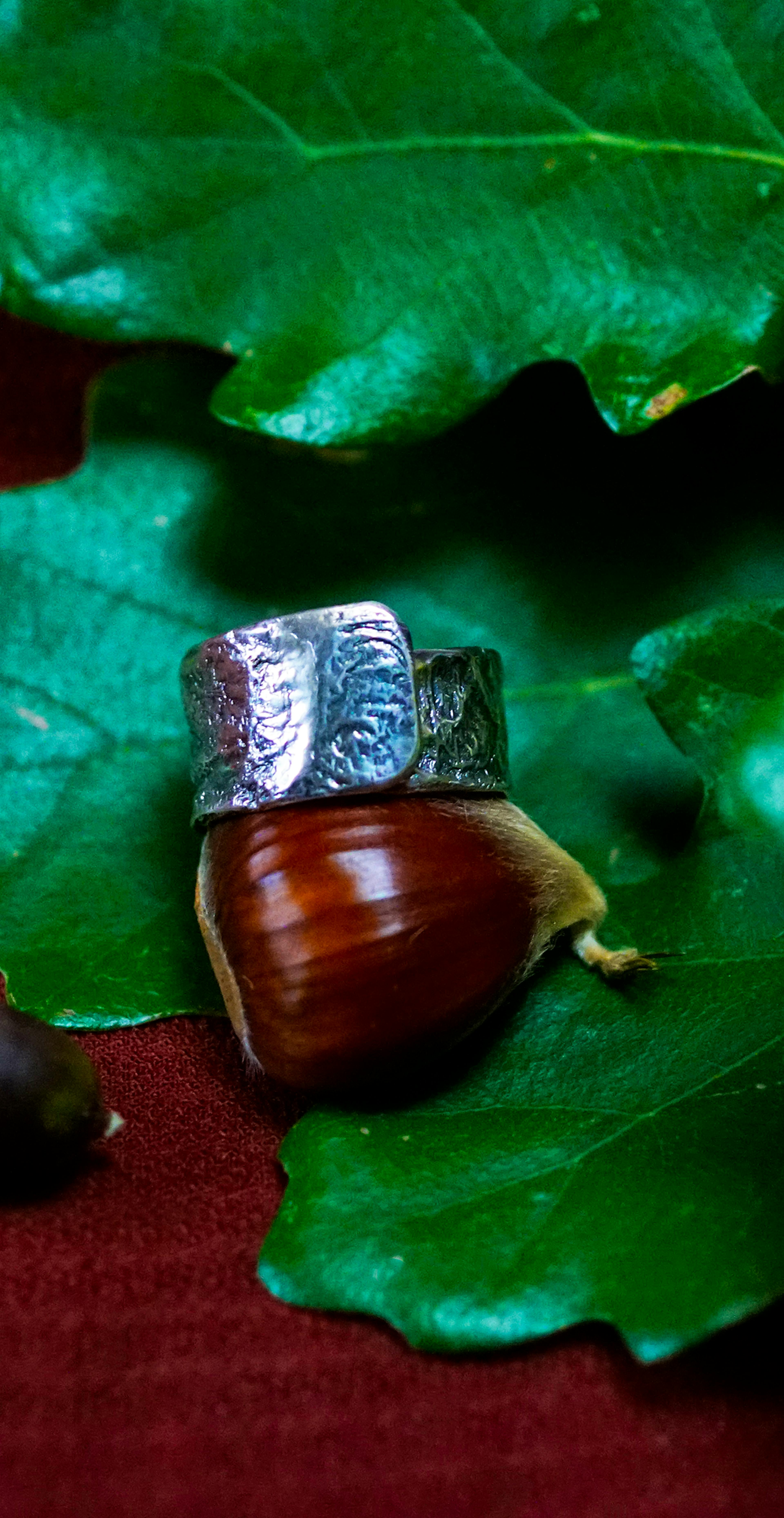 Bague cuivre plaqué argent posé sur une chataigne et des feuilles de chênes