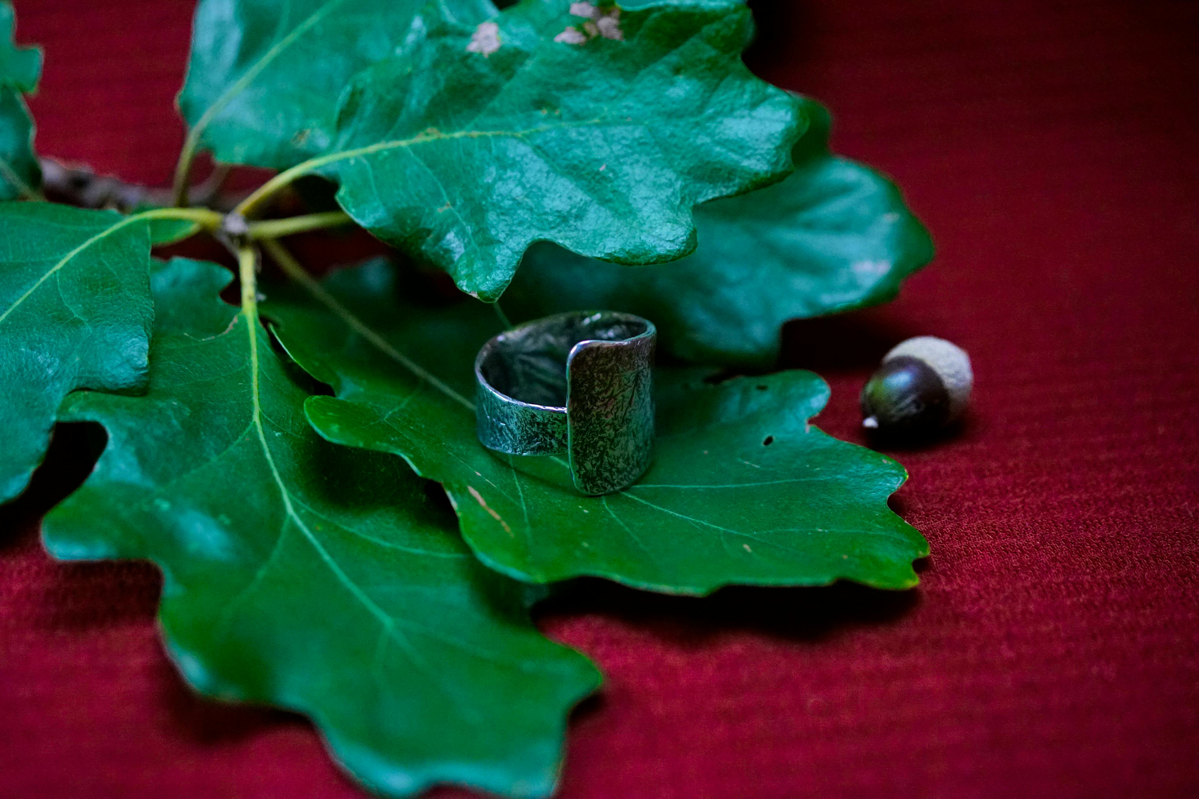 Bague cuivre plaqué argent posé sur des feuilles de chênes