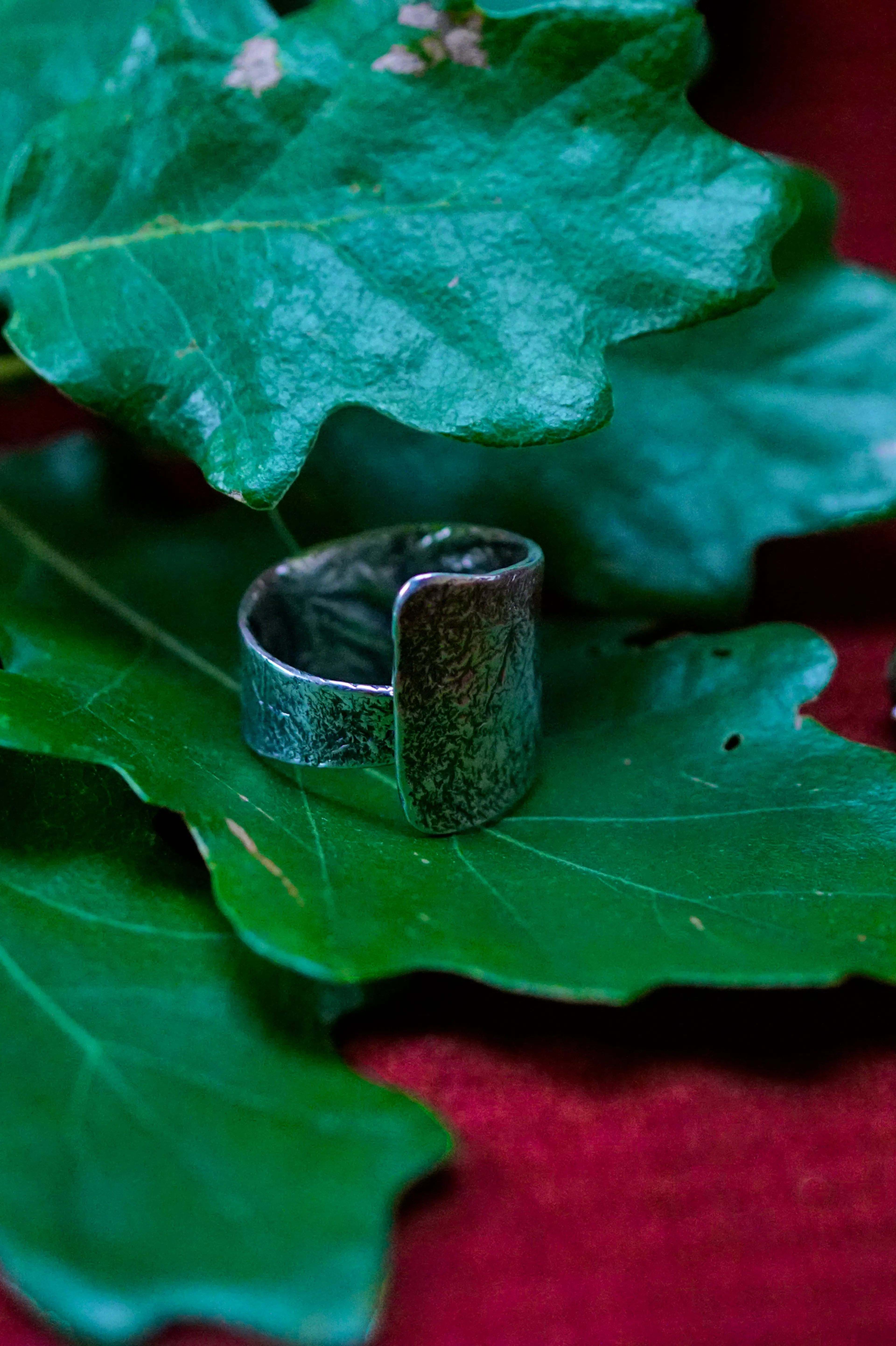 Bague cuivre plaqué argent posé sur des feuilles de chênes