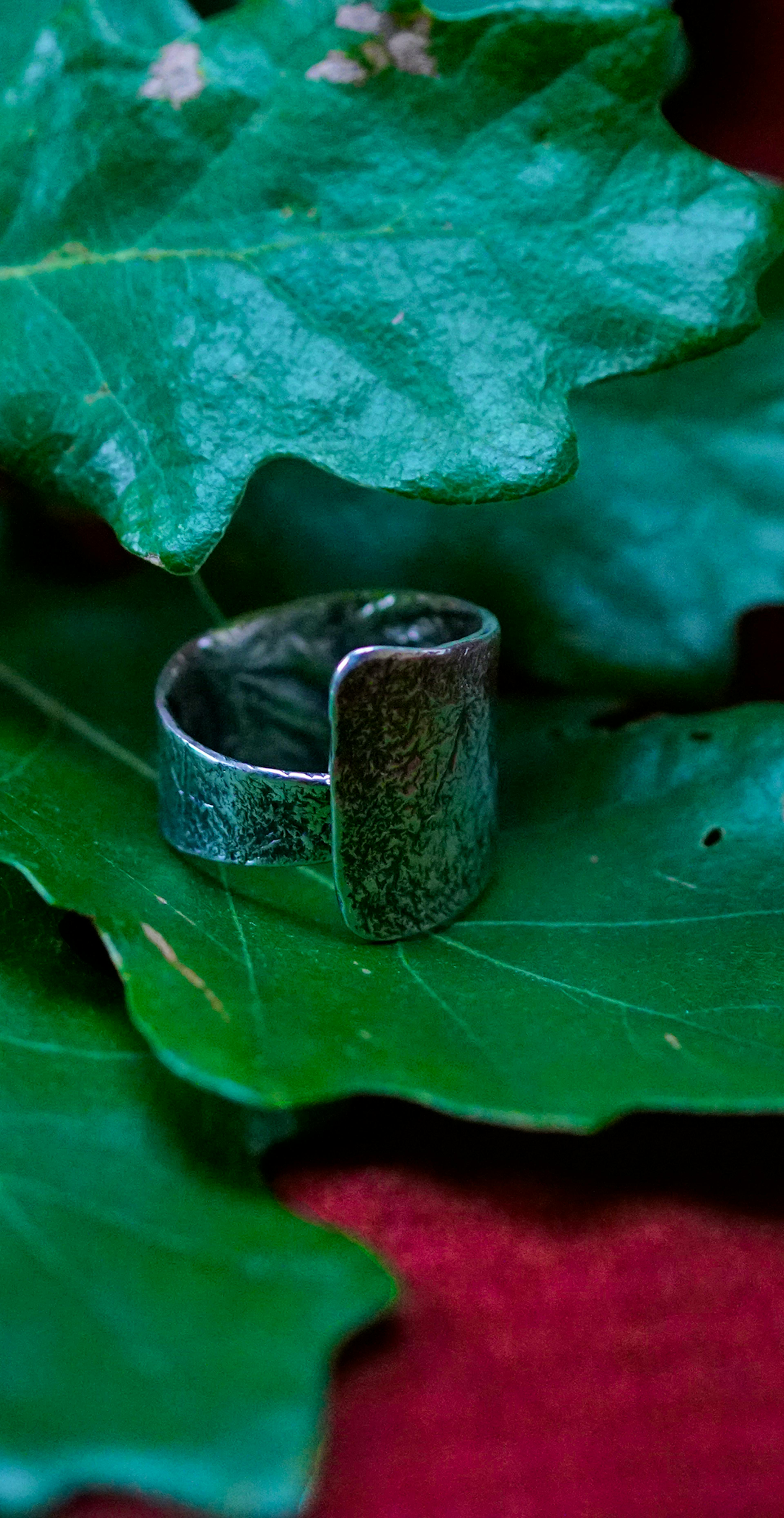 Bague cuivre plaqué argent posé sur des feuilles de chênes