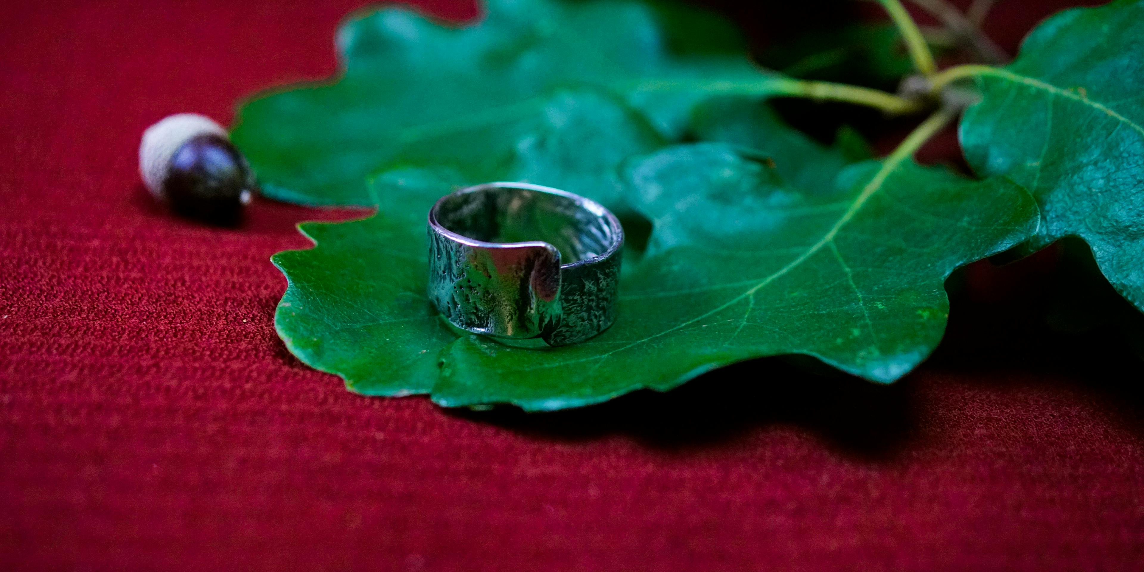 Bague cuivre plaqué argent posé sur des feuilles de chênes
