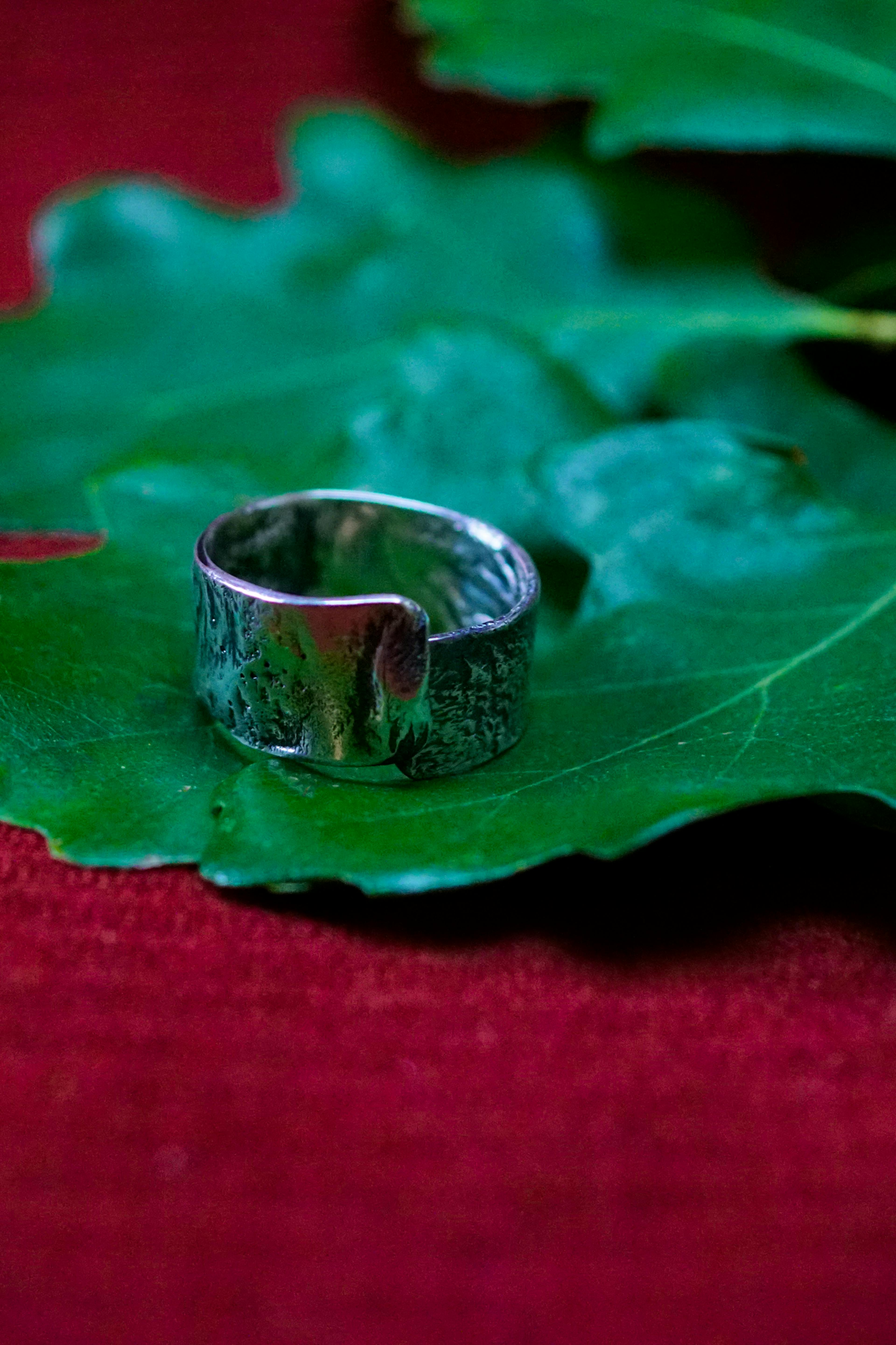 Bague cuivre plaqué argent posé sur des feuilles de chênes