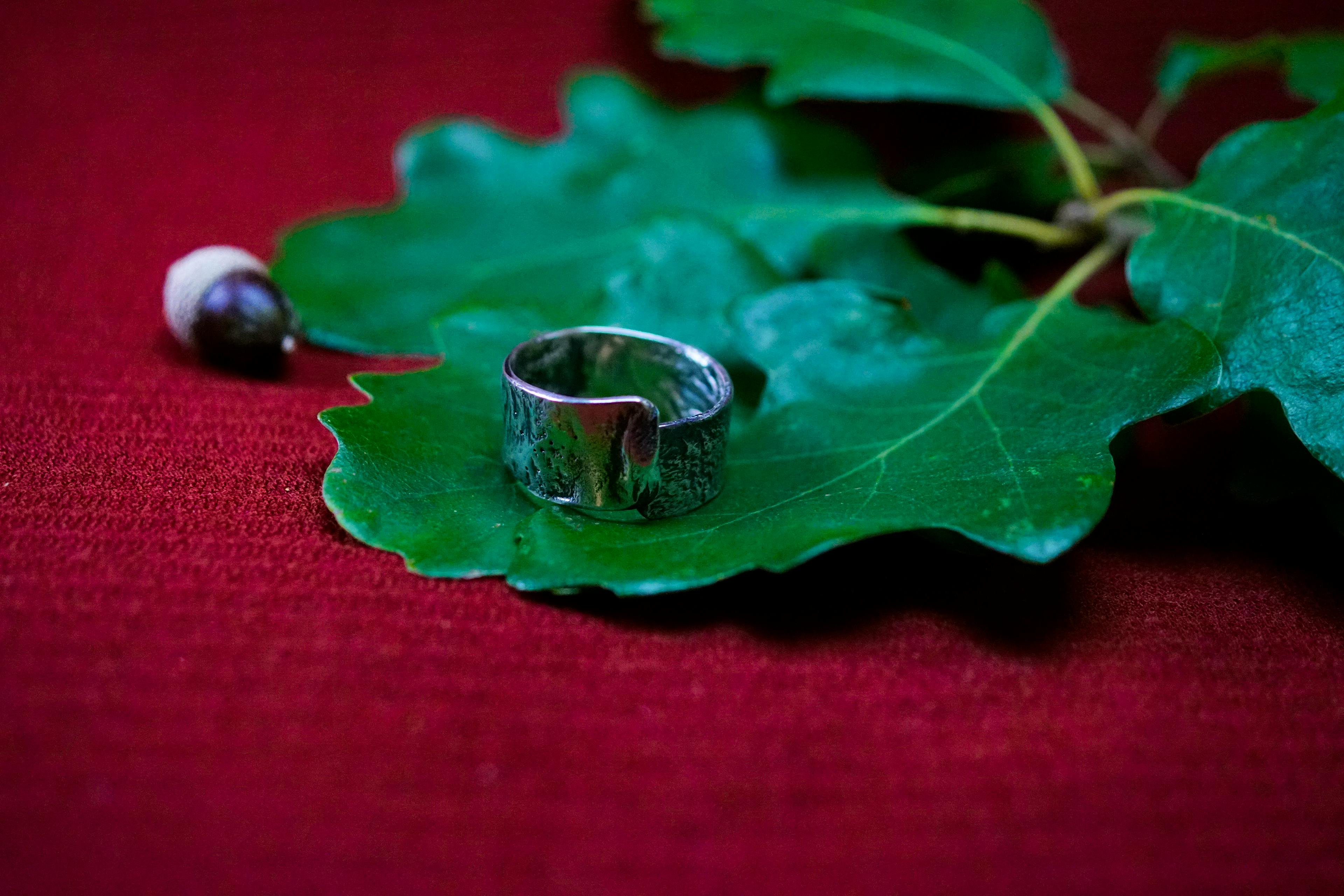 Bague cuivre plaqué argent posé sur des feuilles de chênes