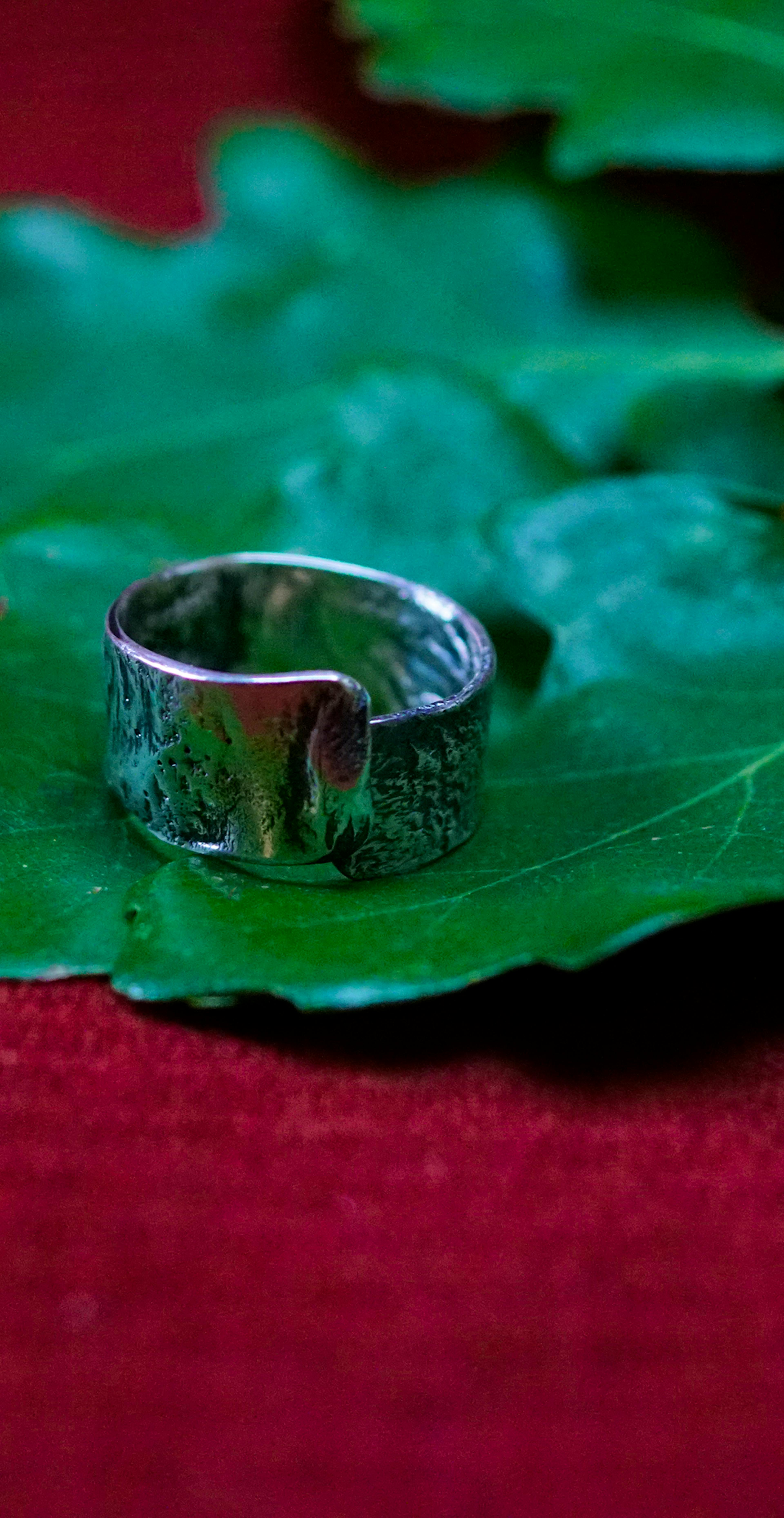 Bague cuivre plaqué argent posé sur des feuilles de chênes