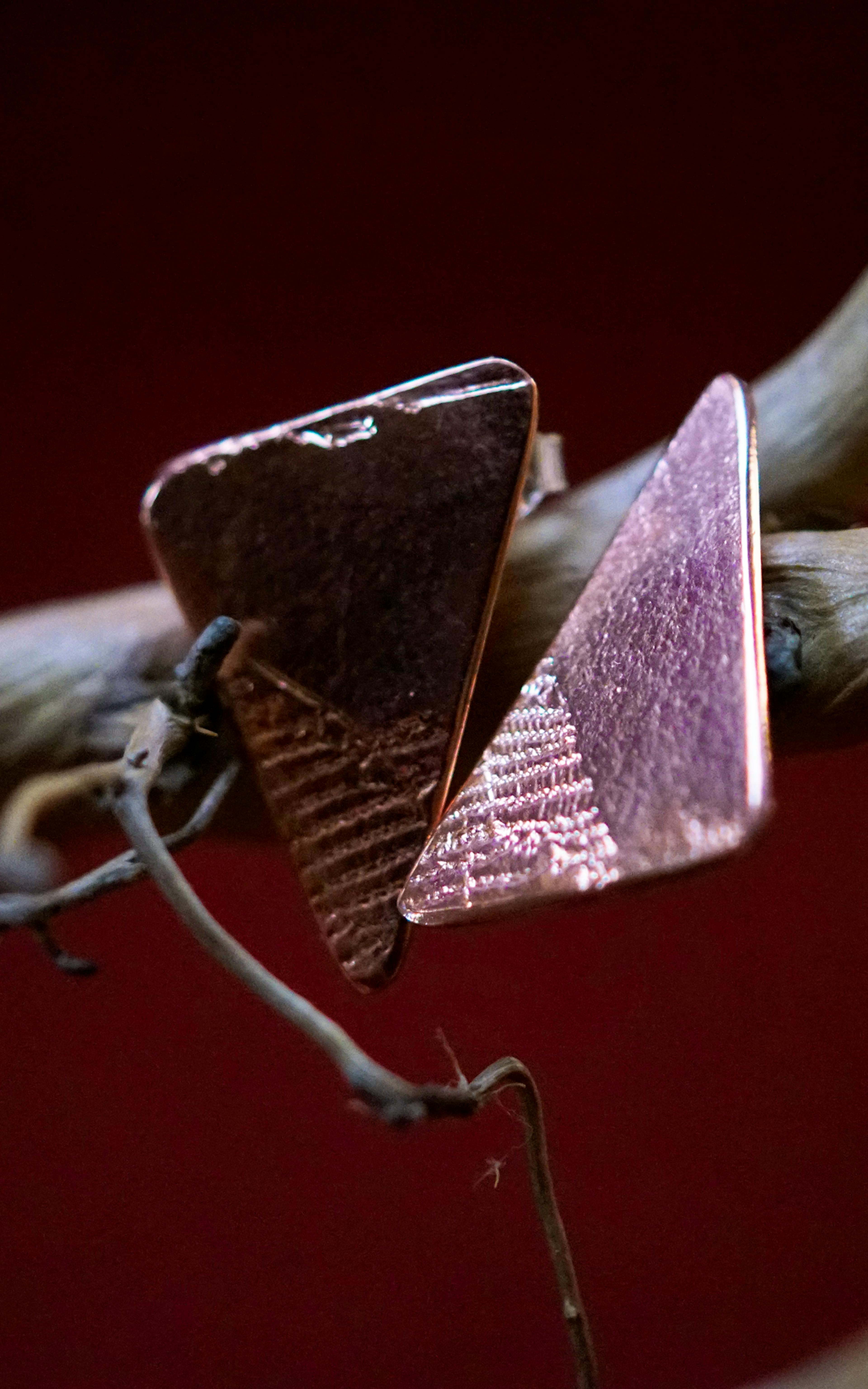 boucles d'oreilles exposées sur une branche