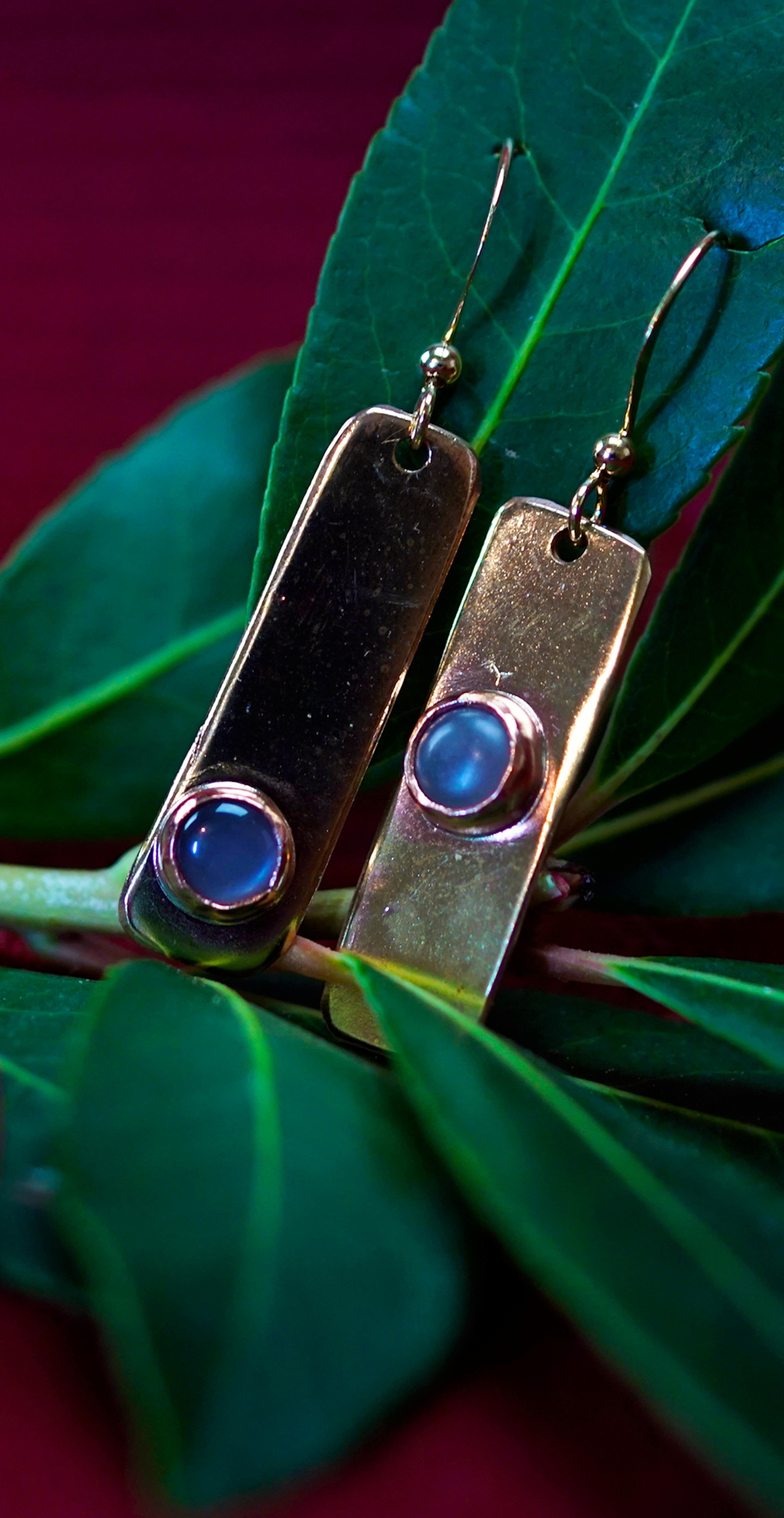 boucles d'oreilles posées sur une branche d'arbousié